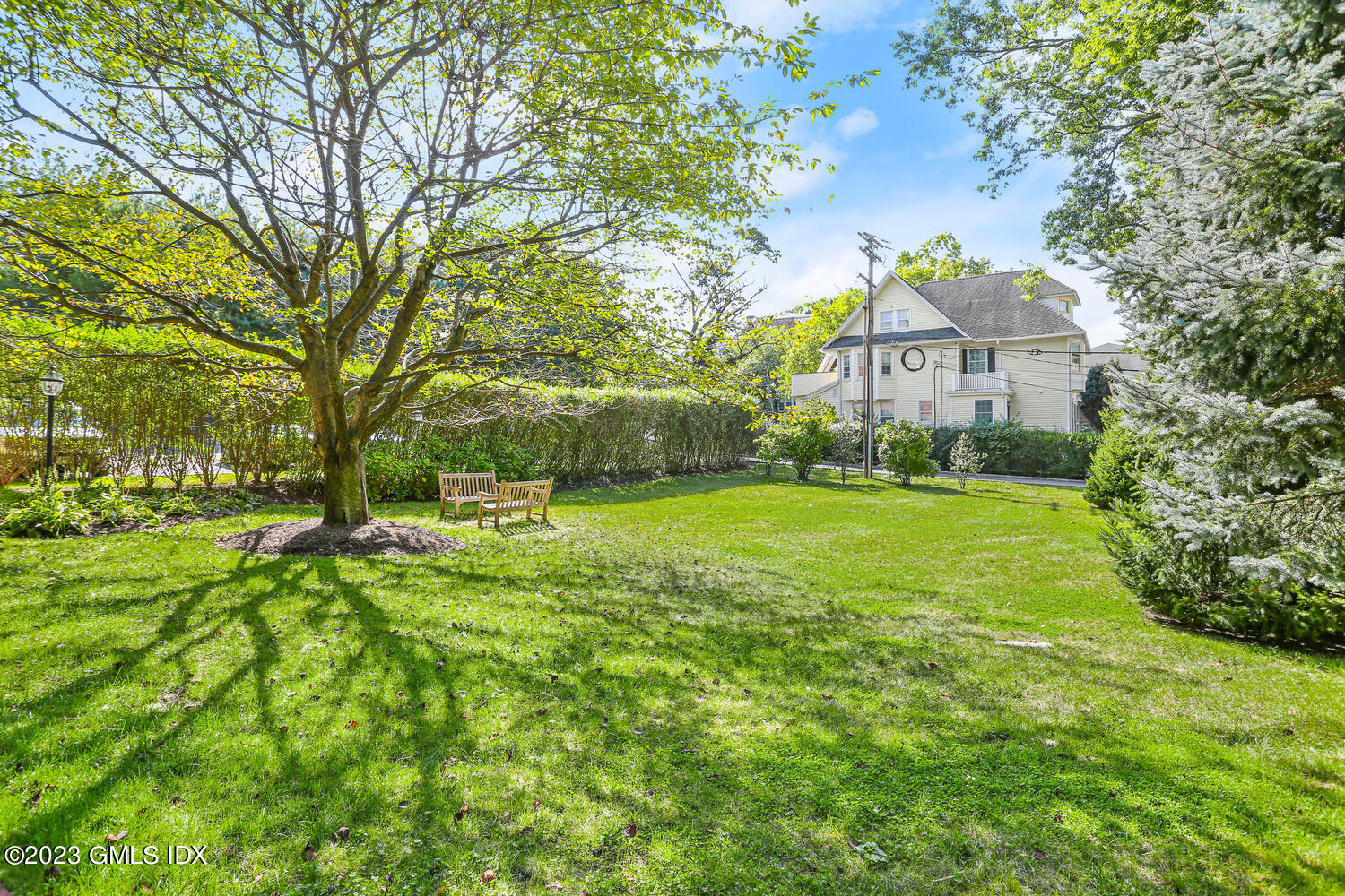 169 Mason Street APT 1D