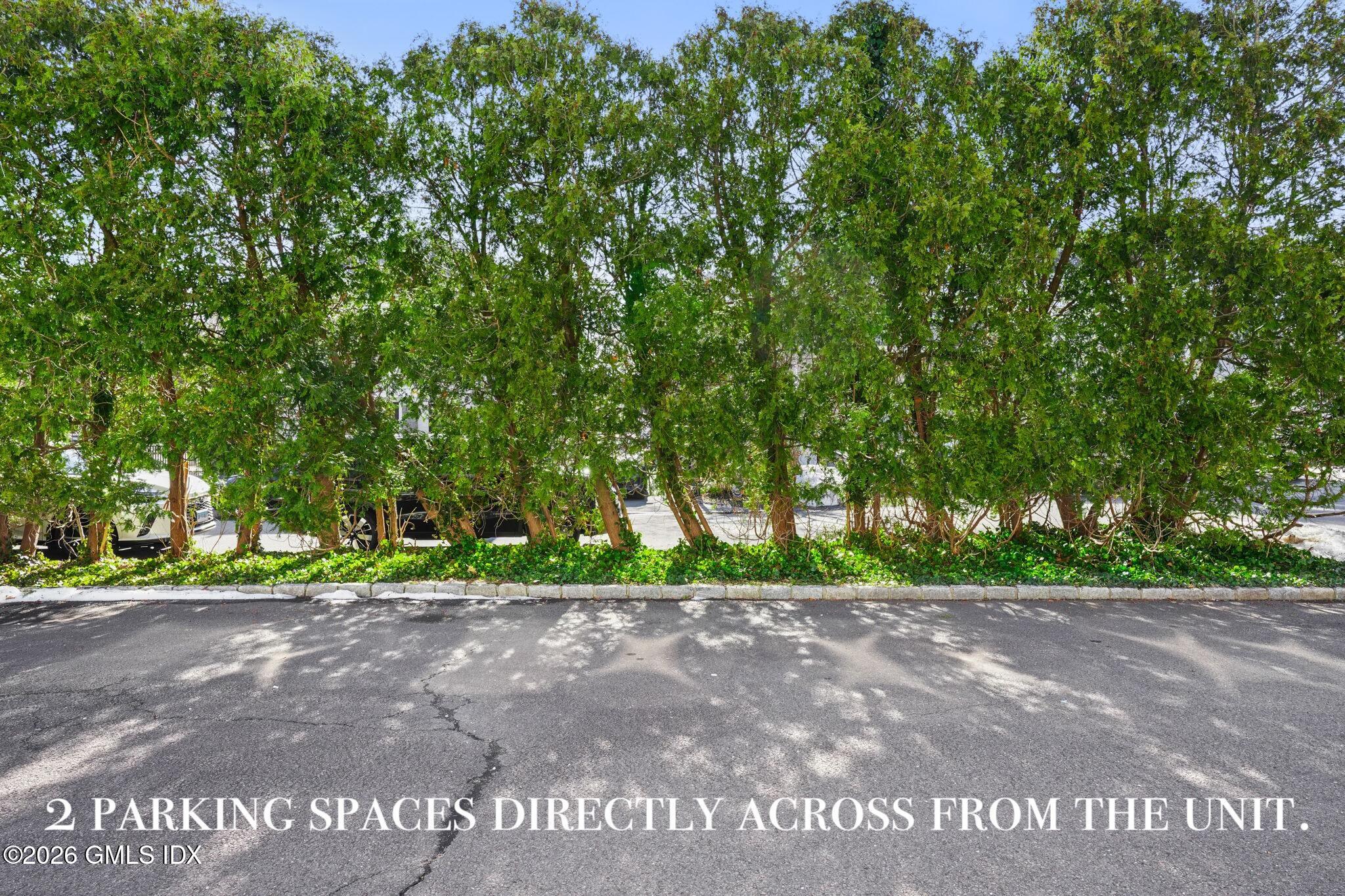 24 Decatur Street APT 2