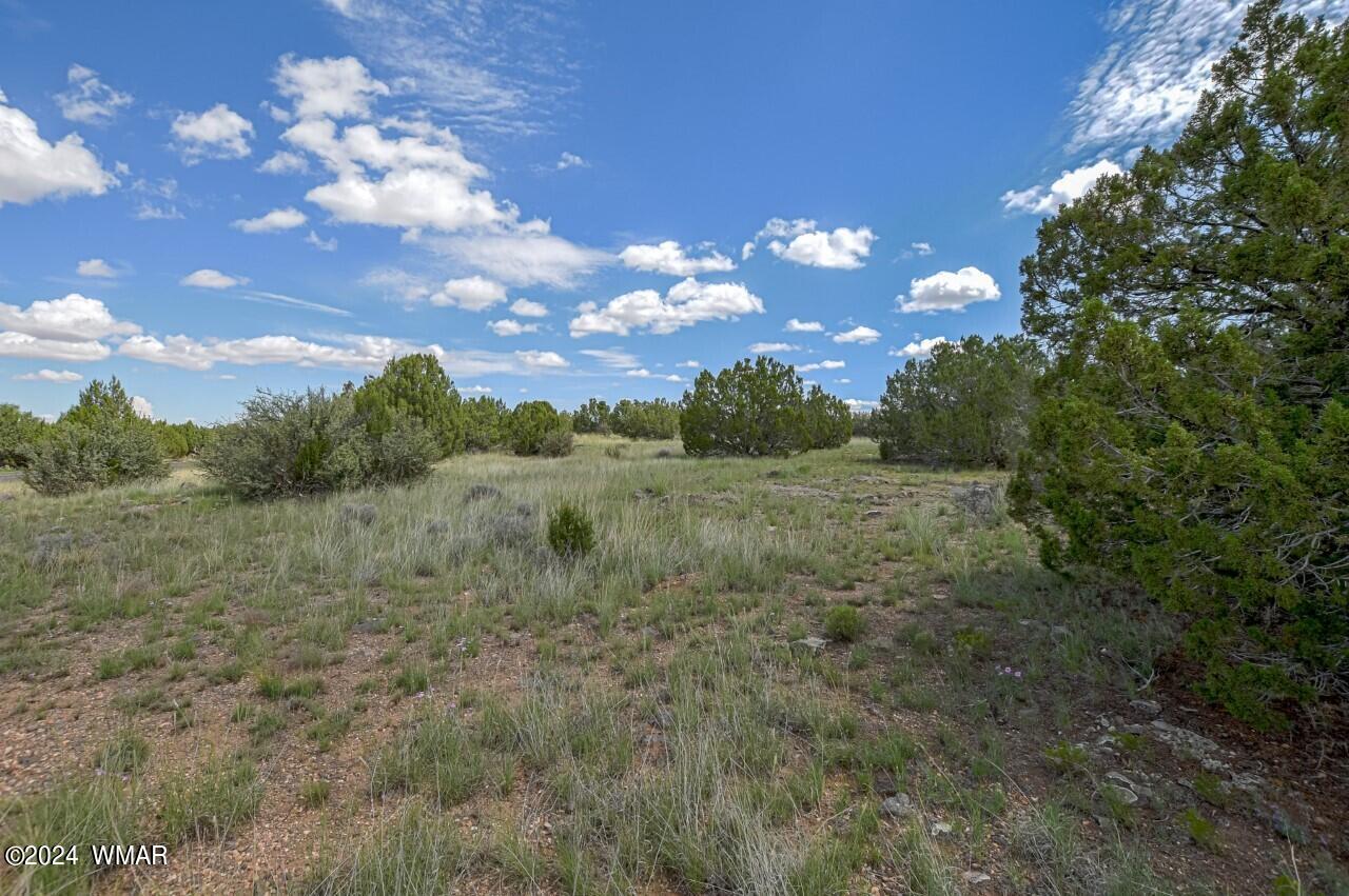 8370 Lake View Drive