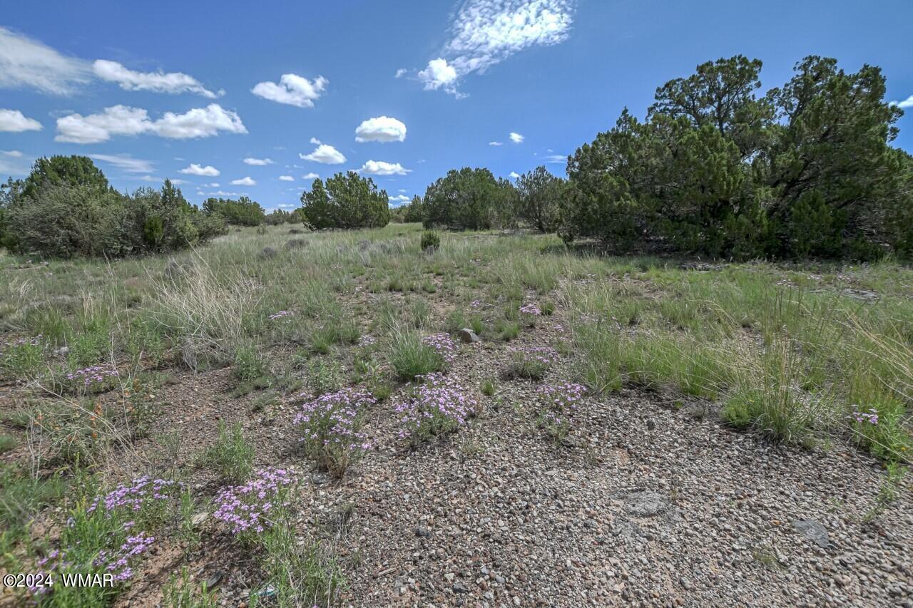 8370 Lake View Drive