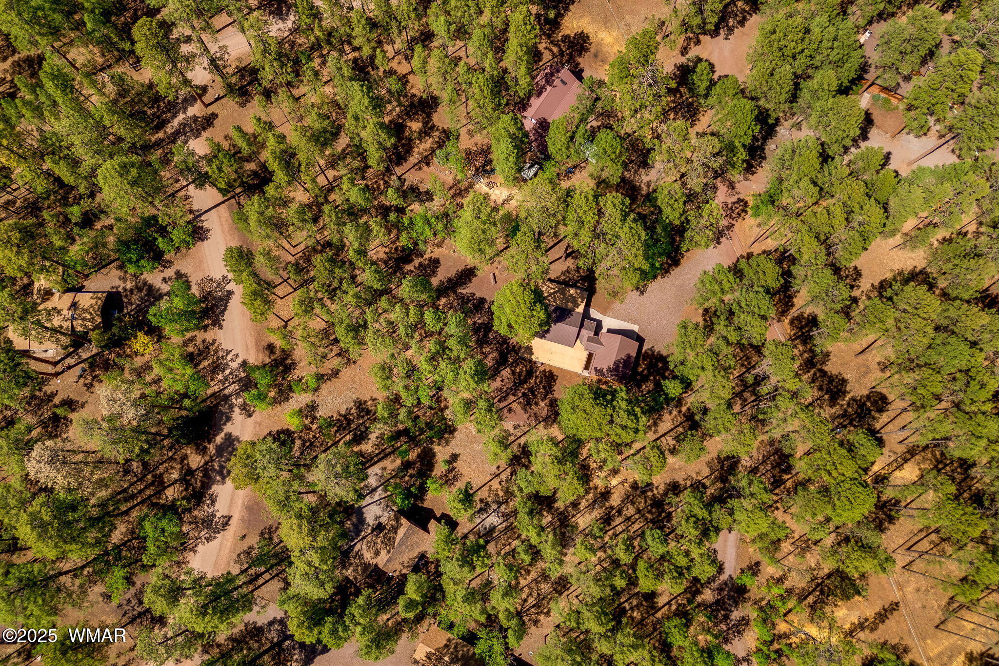 1137 W Hummingbird Circle