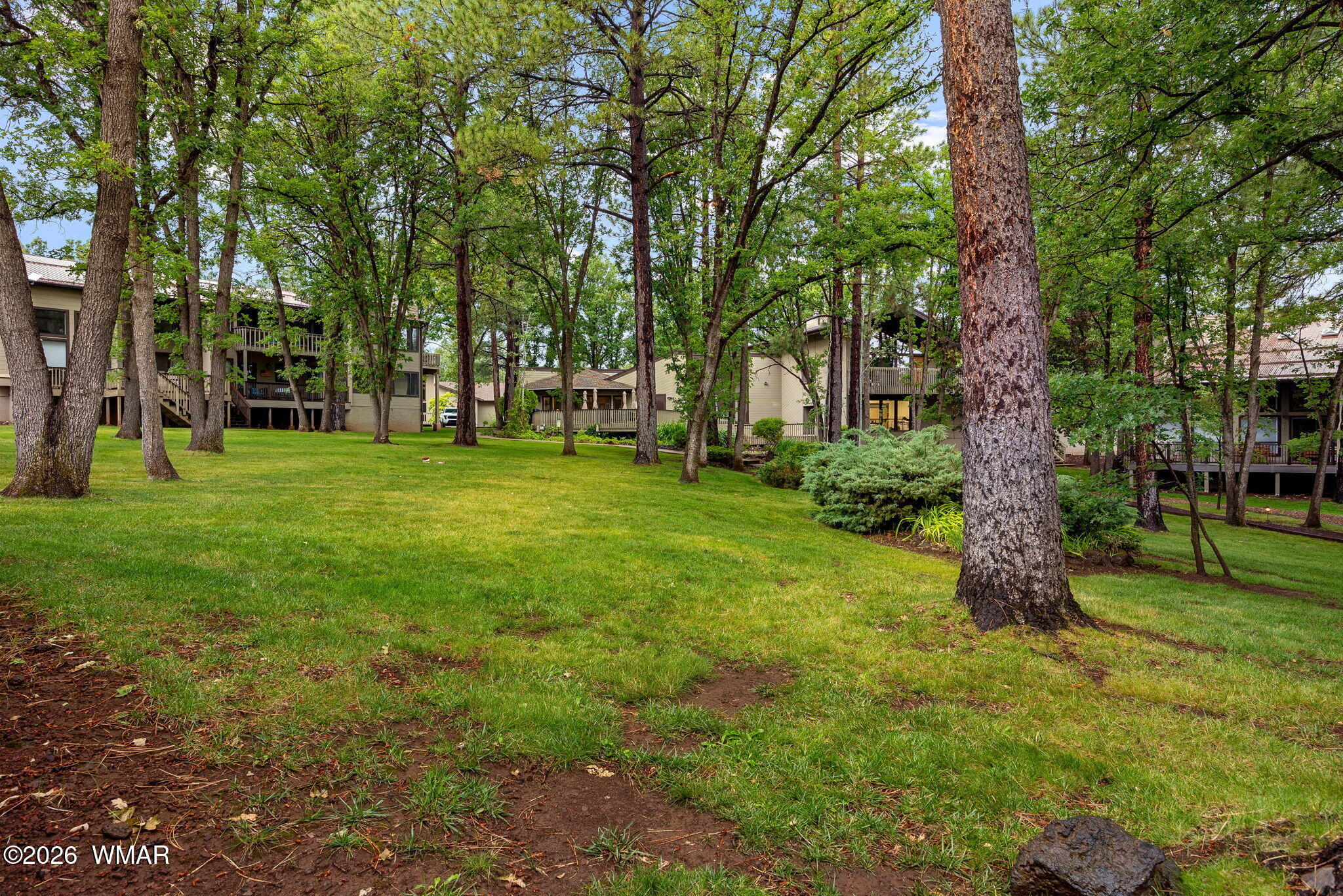 3712 Crown Dancer Drive 19