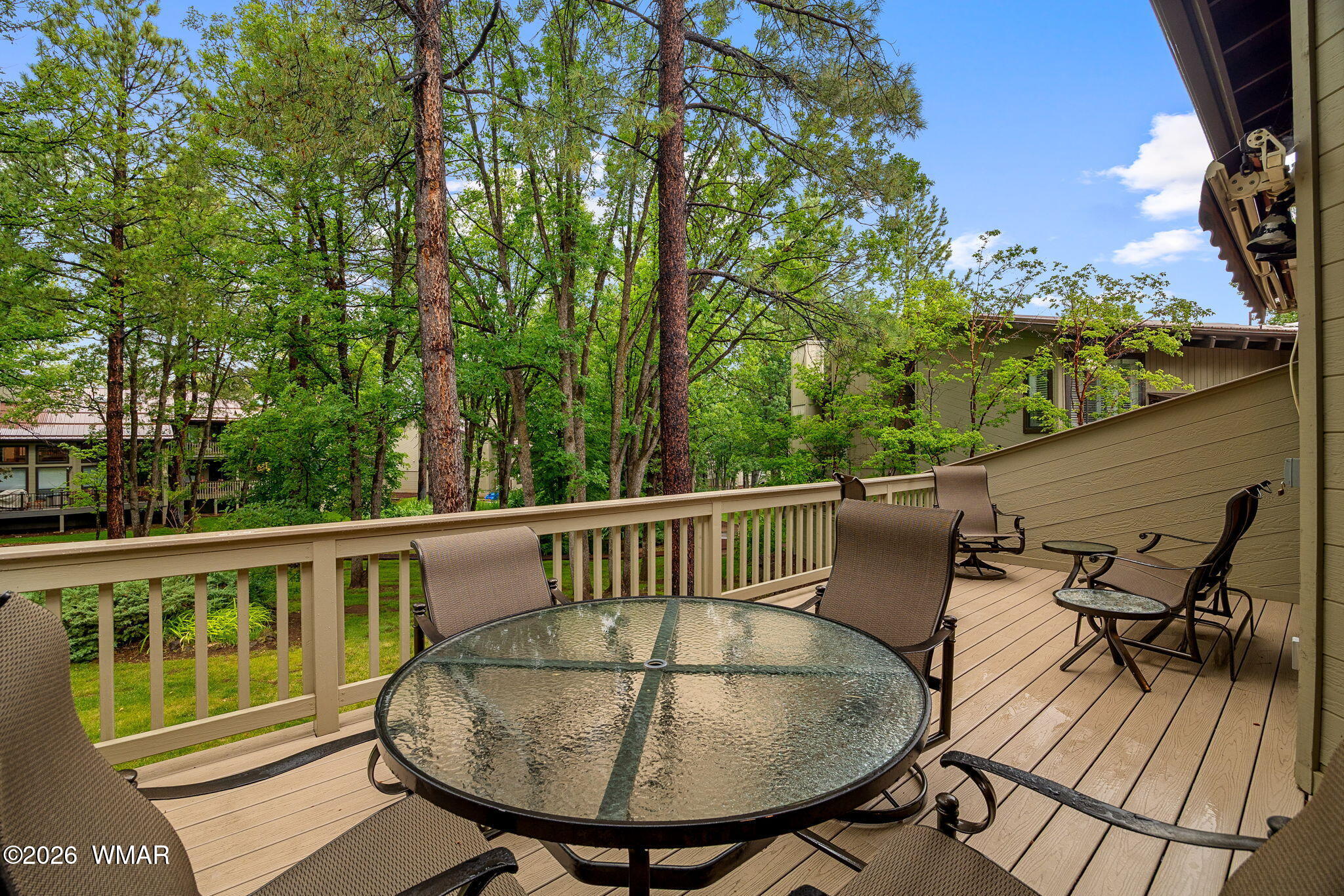 3712 Crown Dancer Drive 19