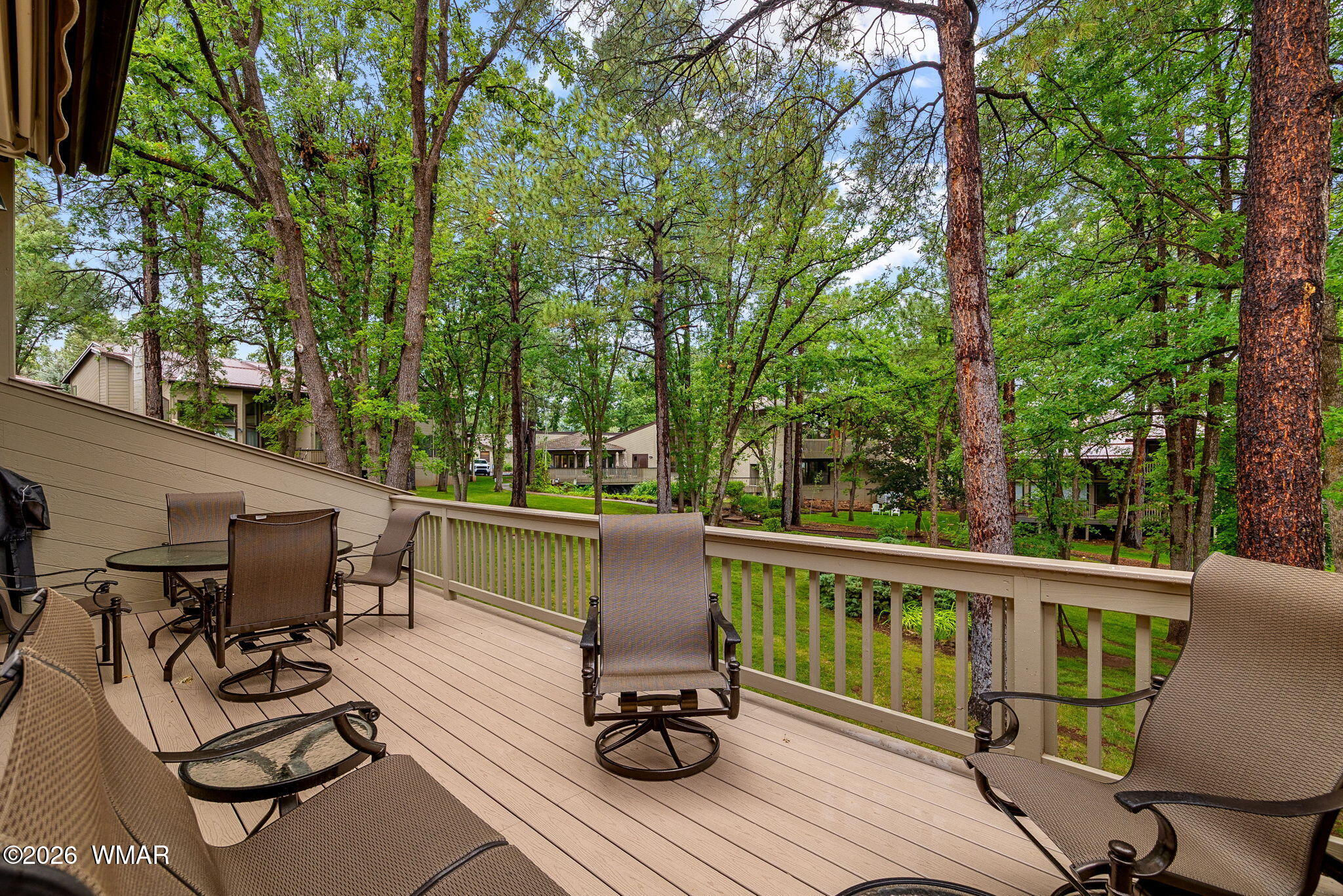 3712 Crown Dancer Drive 19