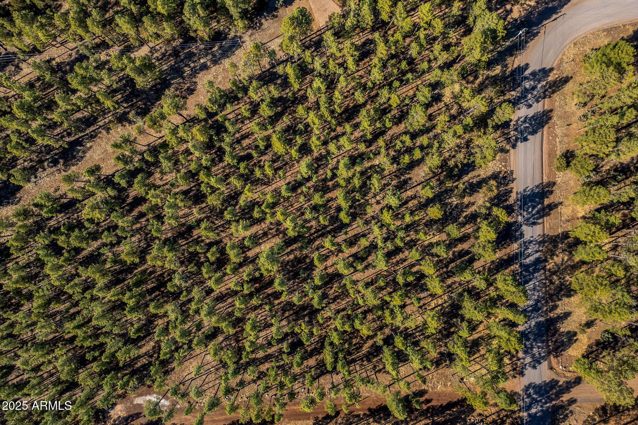 TBD Wilderness Drive 036J, Pinetop-Lakeside Unit: 036J