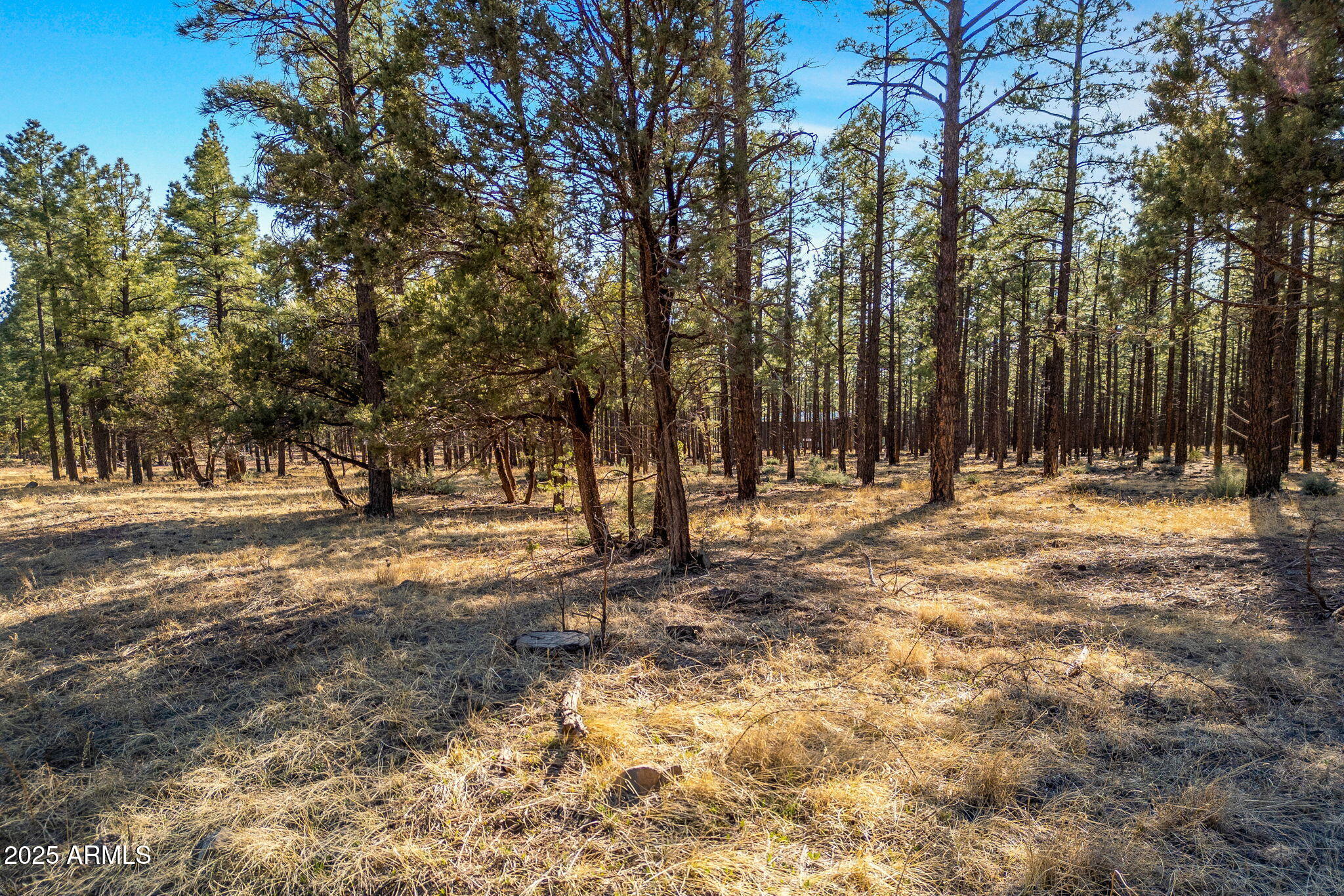 TBD Wilderness Drive 036J, Pinetop-Lakeside Unit: 036J