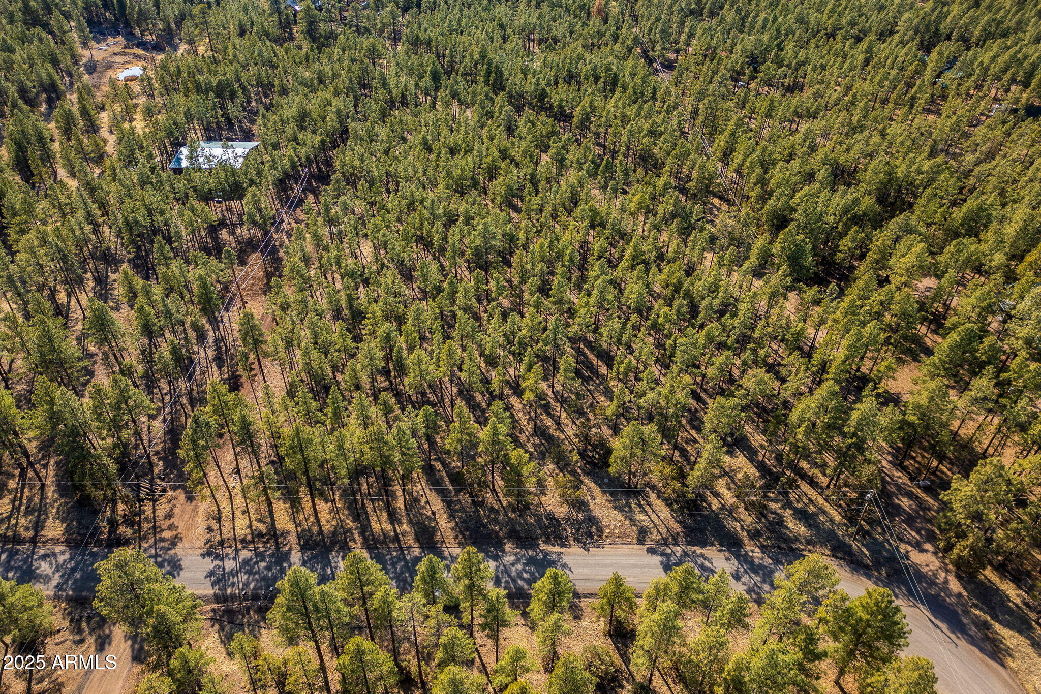 TBD Wilderness Drive 036J, Pinetop-Lakeside Unit: 036J