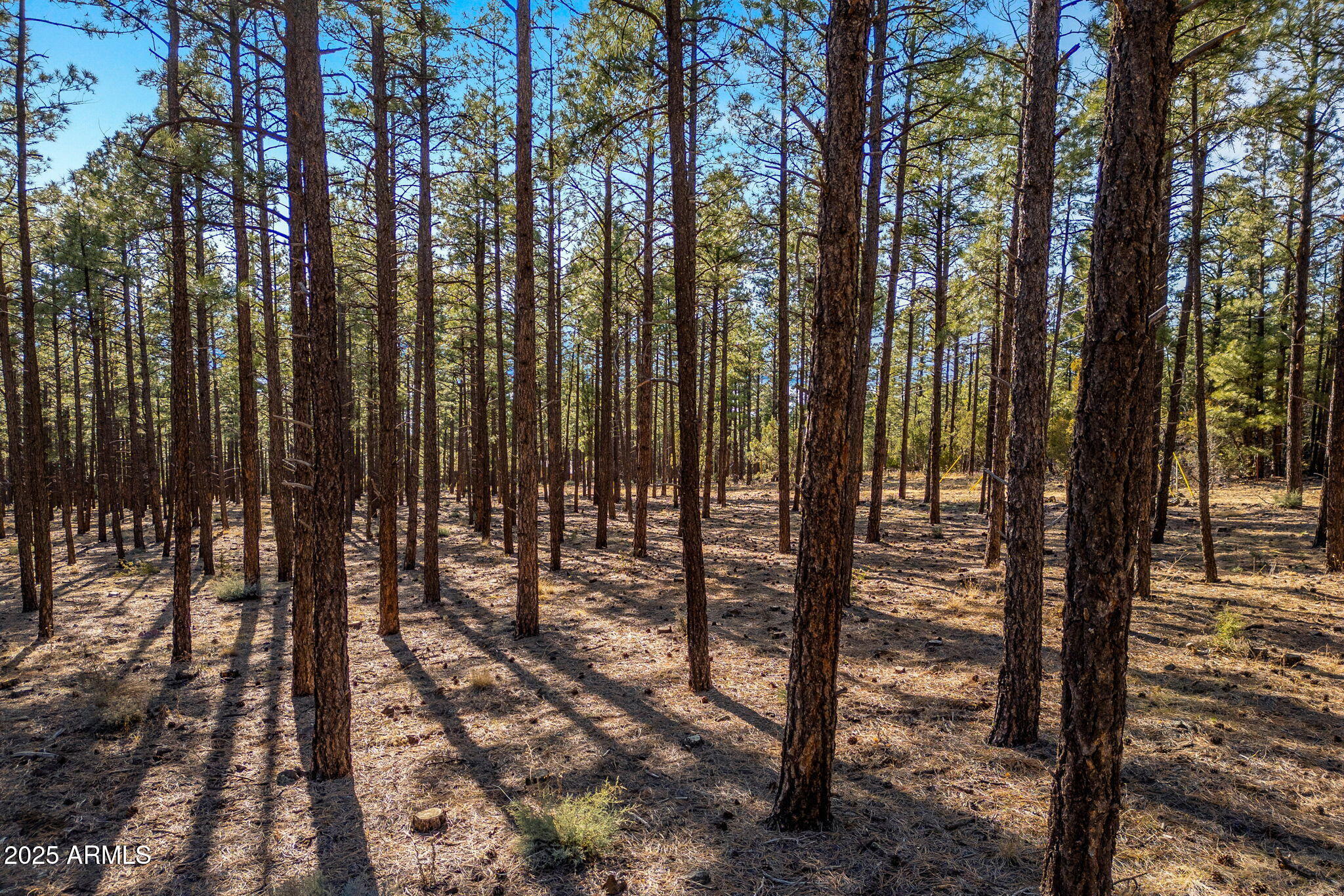 TBD Wilderness Drive 036J, Pinetop-Lakeside Unit: 036J