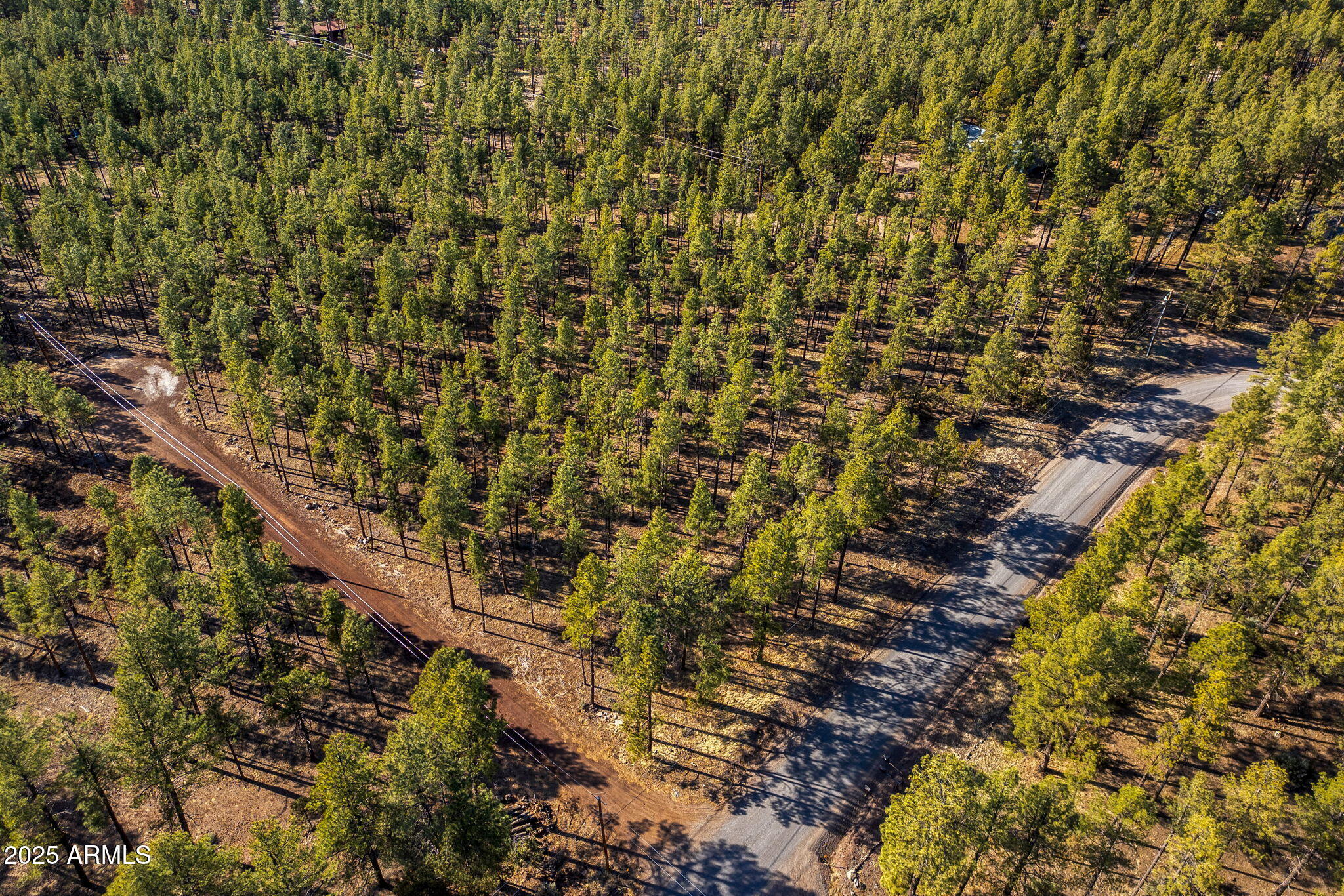 TBD Wilderness Drive 036J, Pinetop-Lakeside Unit: 036J
