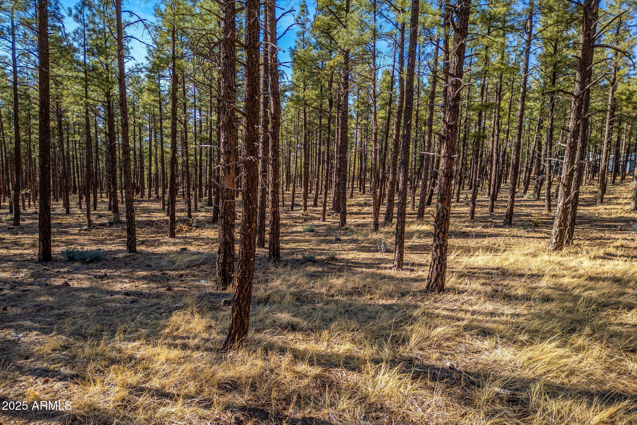 TBD Wilderness Drive 036J, Pinetop-Lakeside Unit: 036J