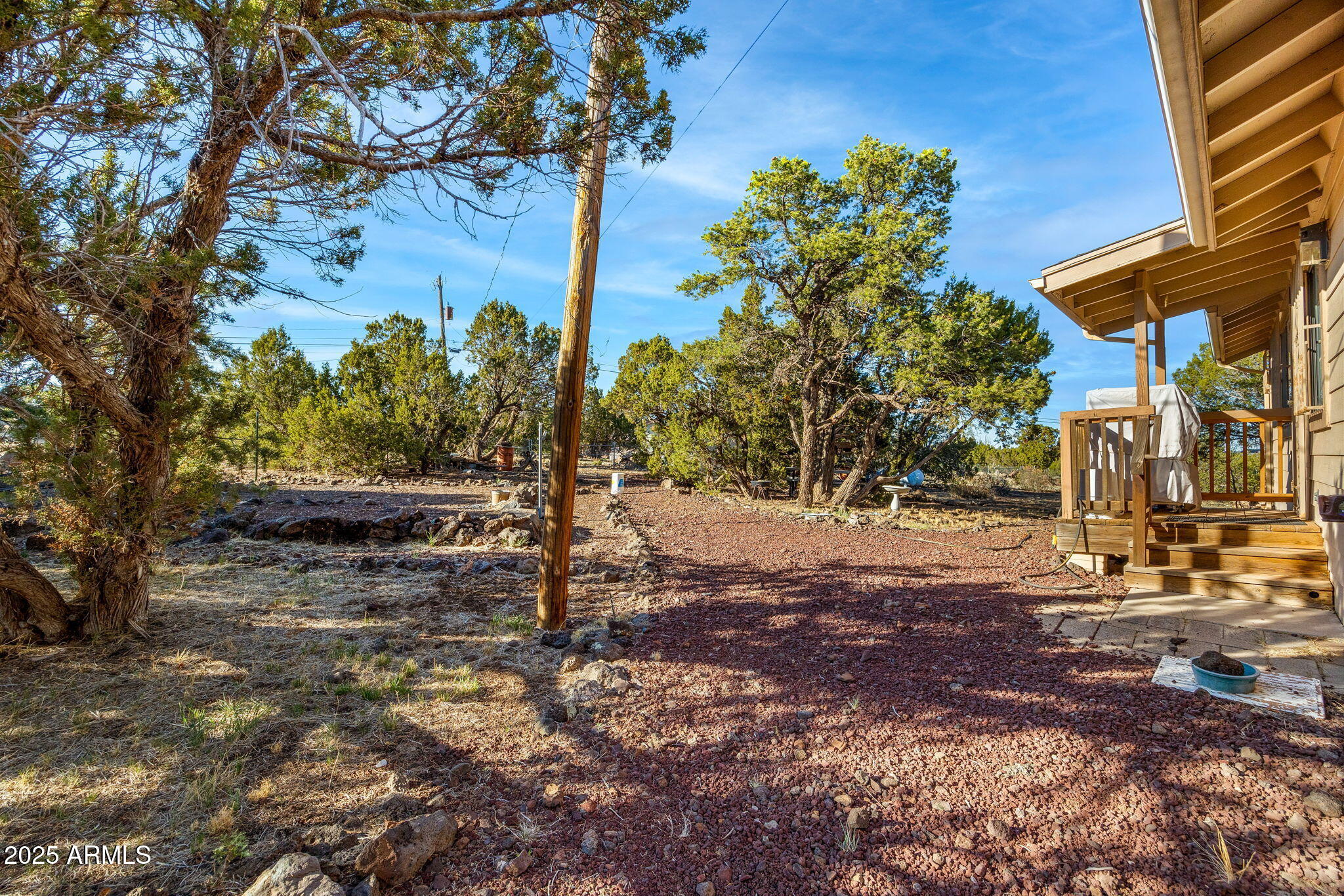 8482 JAVELINA Drive