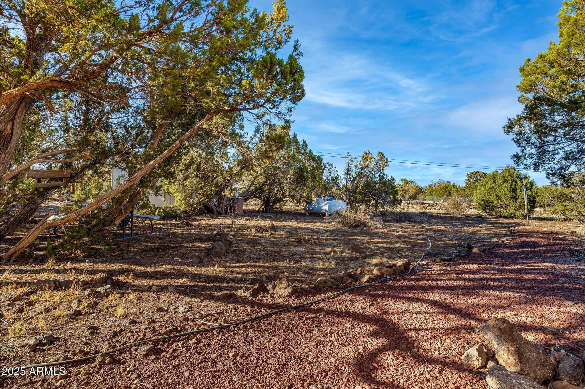 8482 JAVELINA Drive
