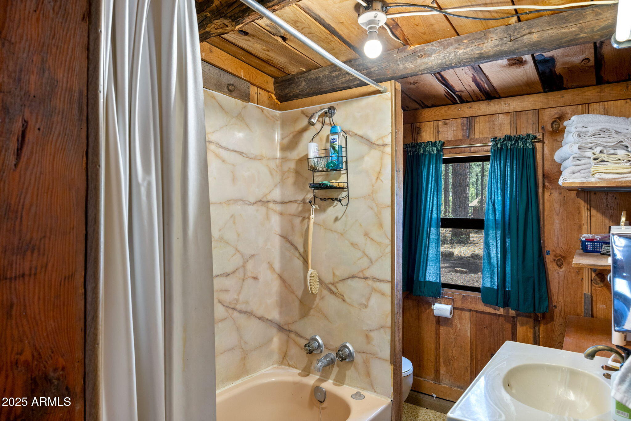 1137 W Hummingbird Circle, Pinetop-Lakeside