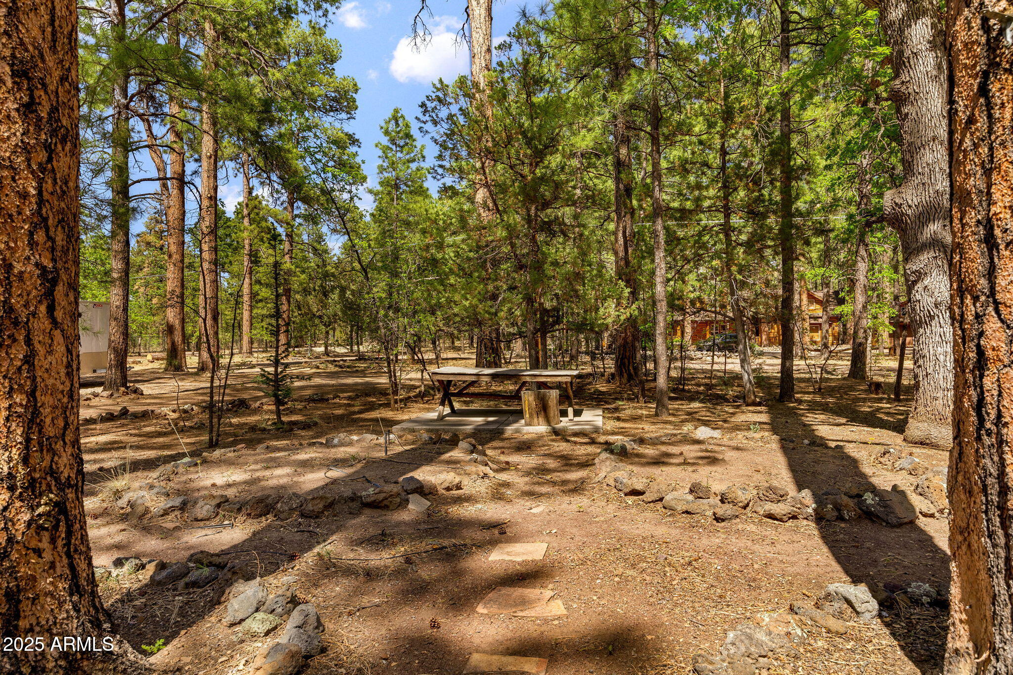 1137 W Hummingbird Circle, Pinetop-Lakeside