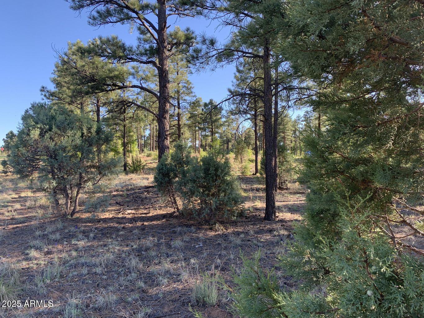 101 W PINE HAVEN Circle, 8