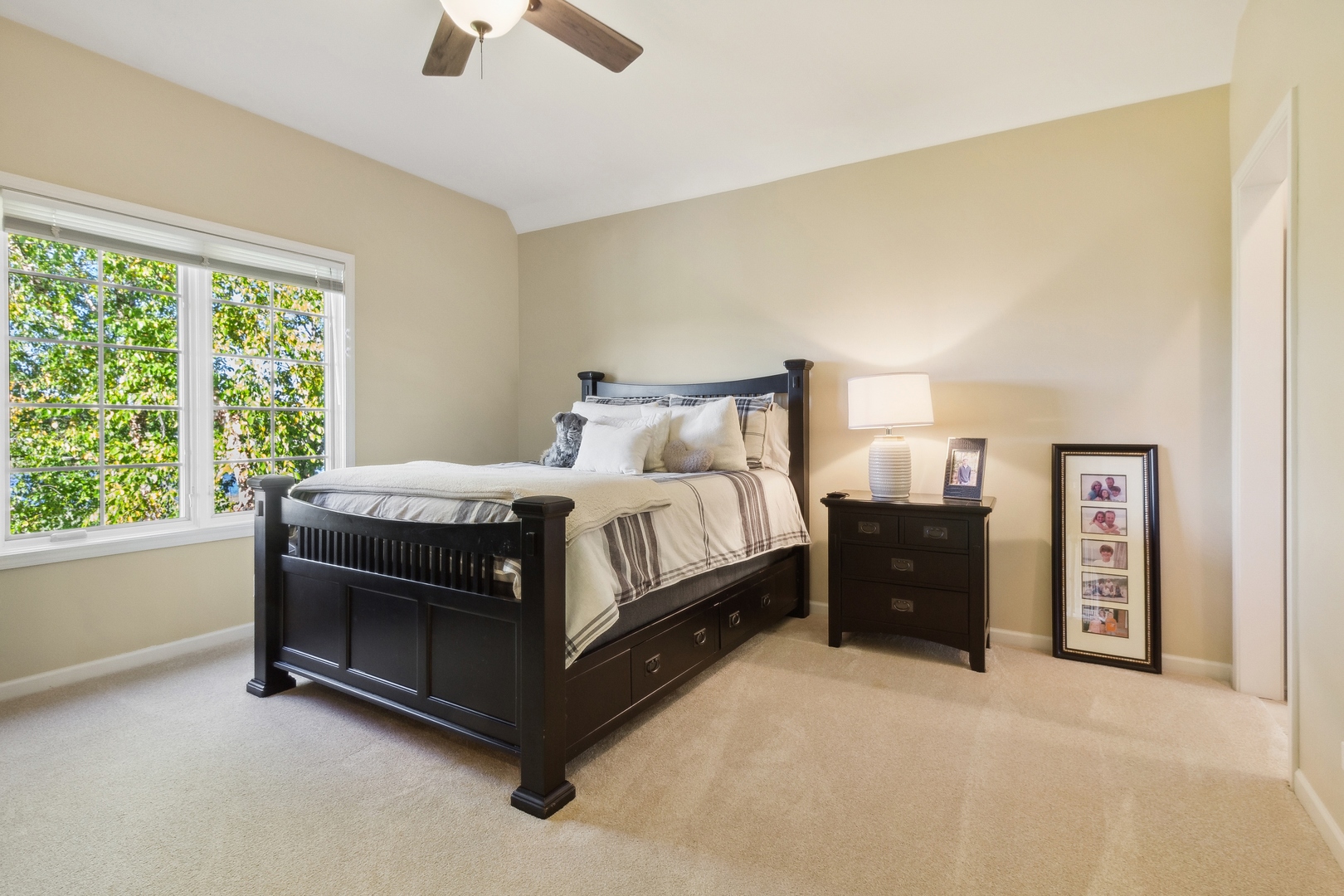 40W258 Ralph Waldo Emerson Lane