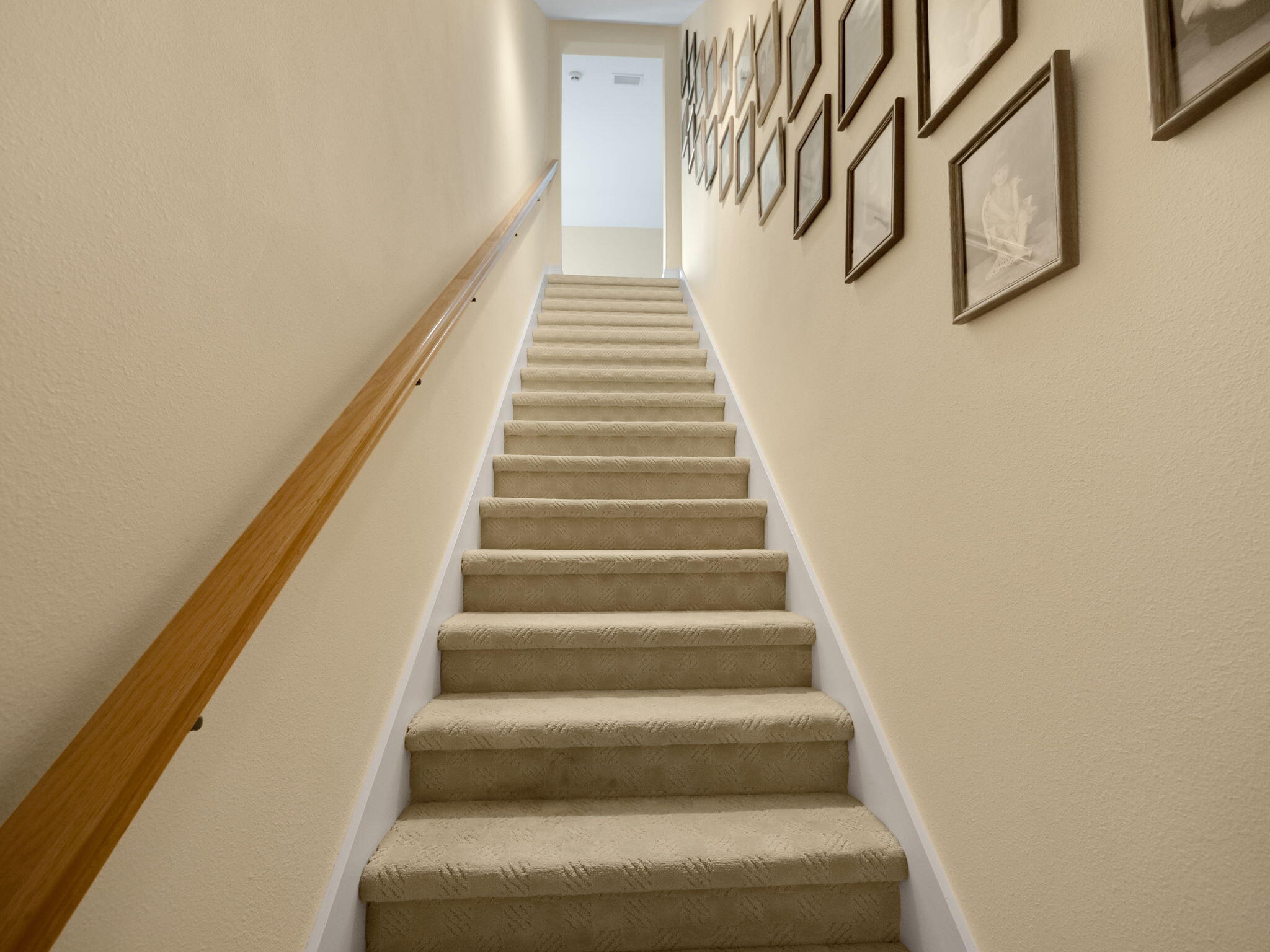 8389 SW Snapdragon Court