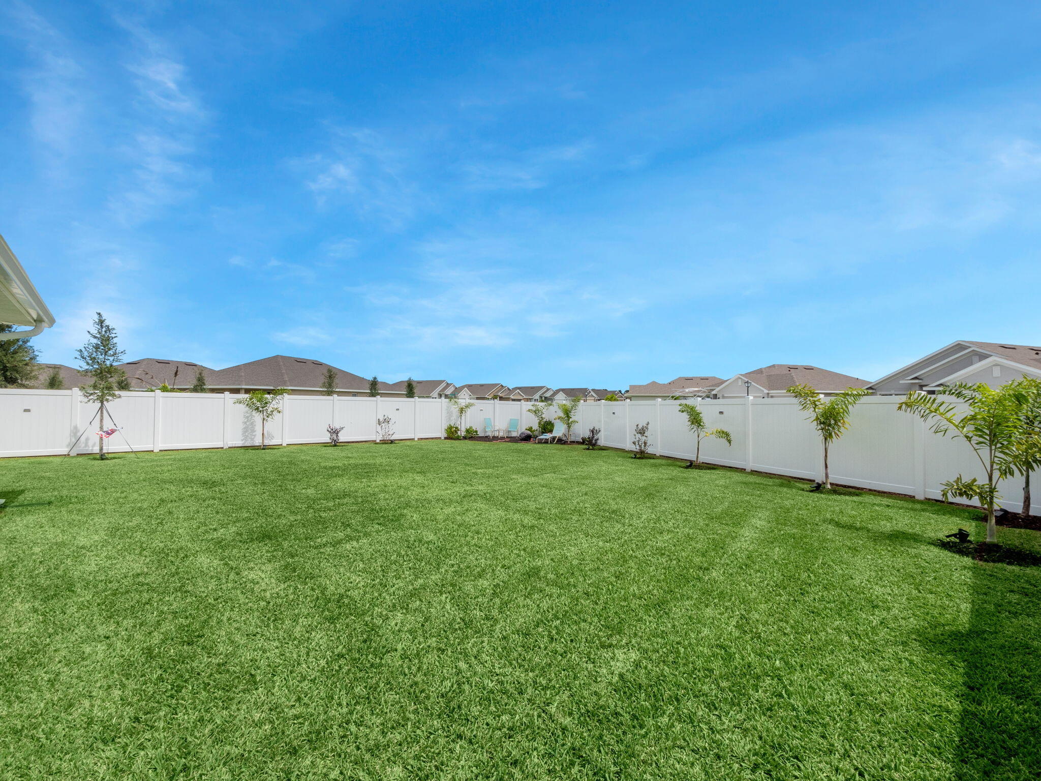 Backyard with a broad lawn, white privacy fence, and young palm trees.