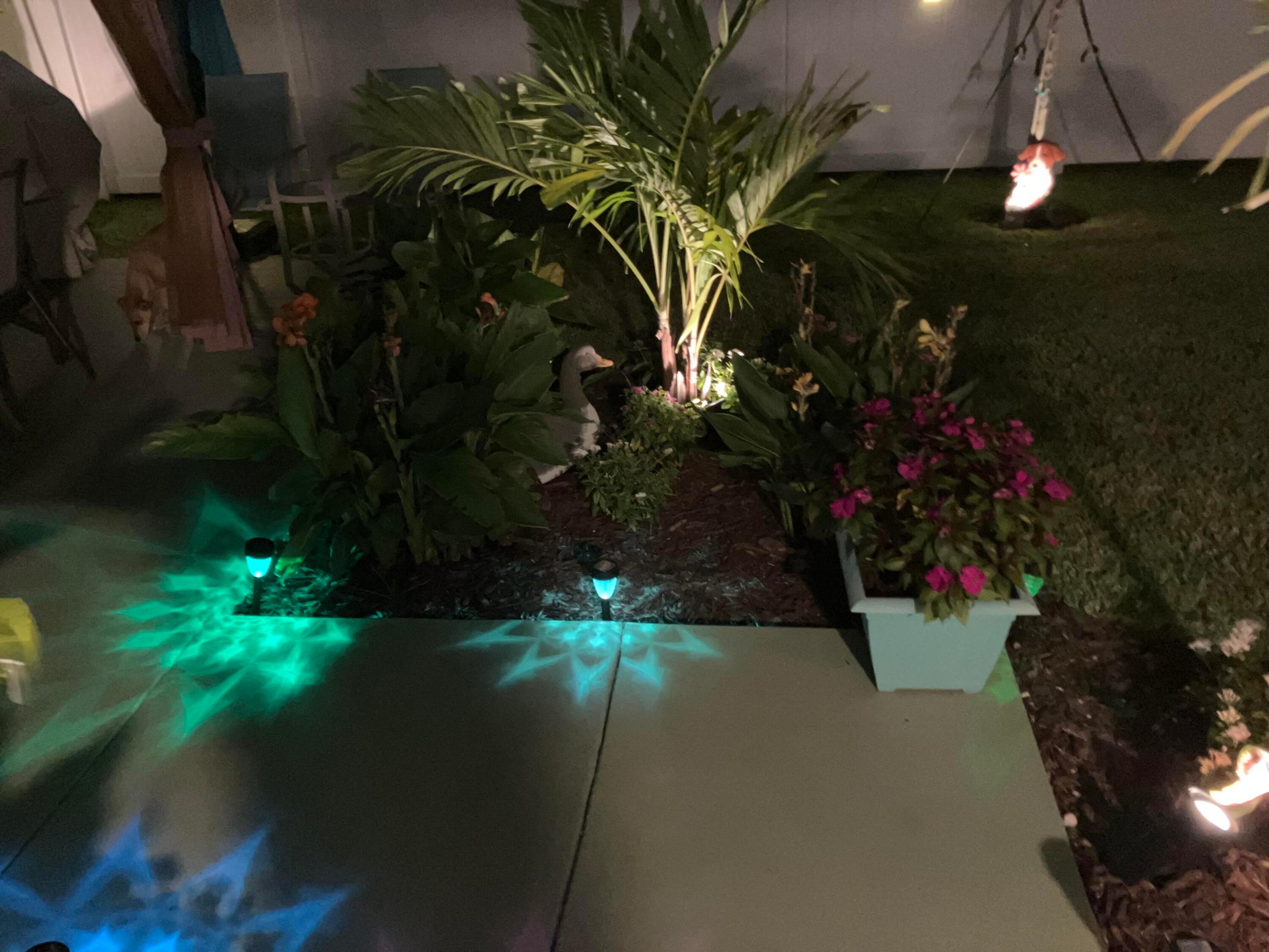 Landscaped patio at night with tropical plants, pink flowers, a duck statue, and blue-green lights on the paving.