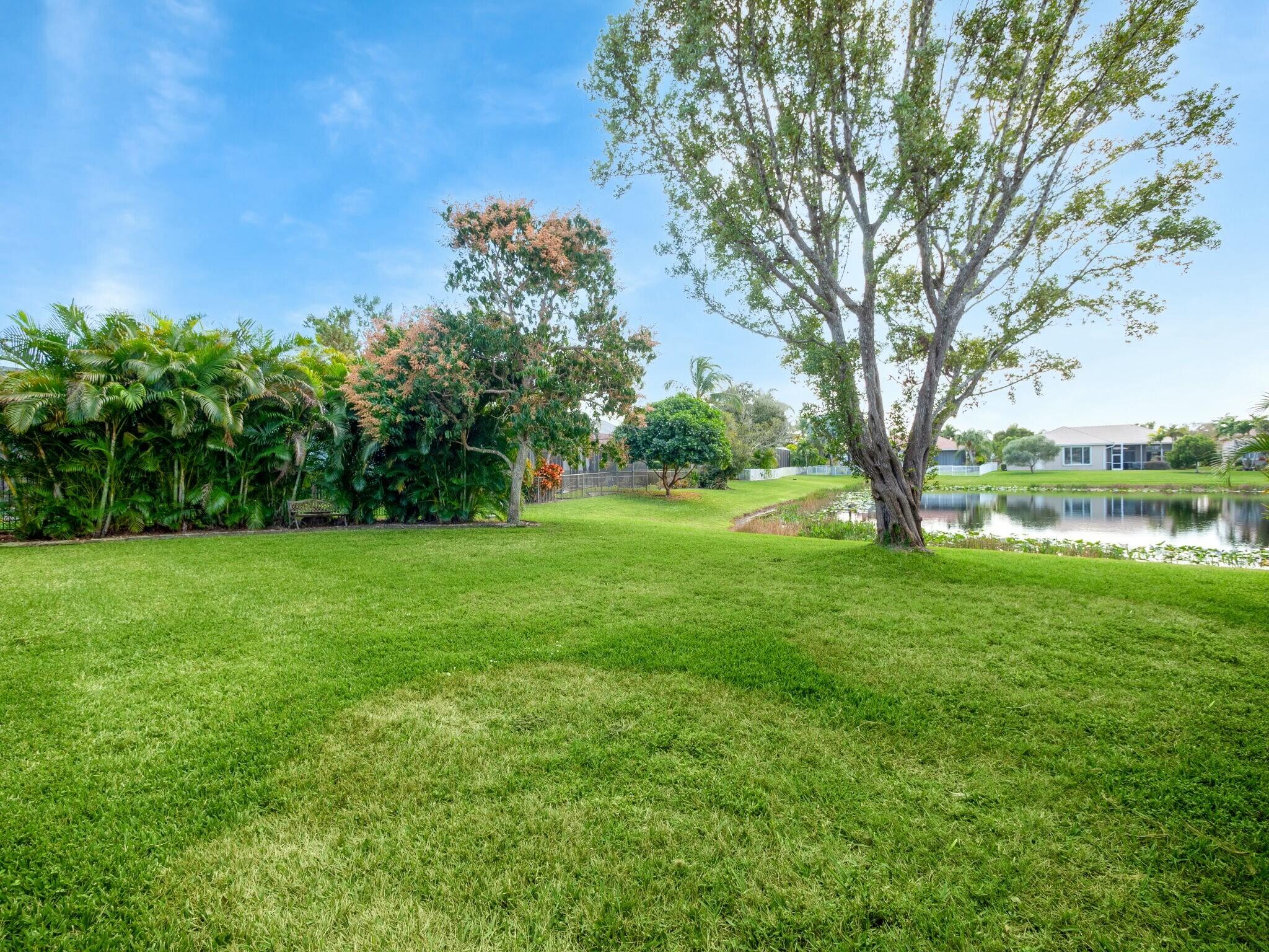 Grassy backyard with a pond, tropical landscaping, and a large mature tree.