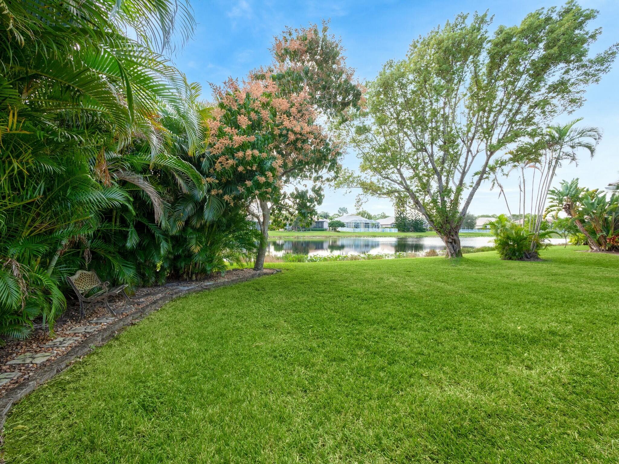 Lush backyard lawn and tropical trees overlooking a pond, with a garden bench beneath the foliage.