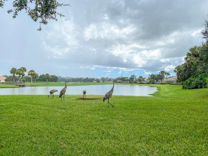 8616 SW Cruden Bay Court