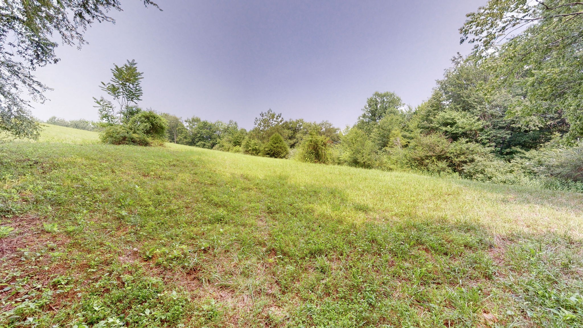 0 Sycamore Ln