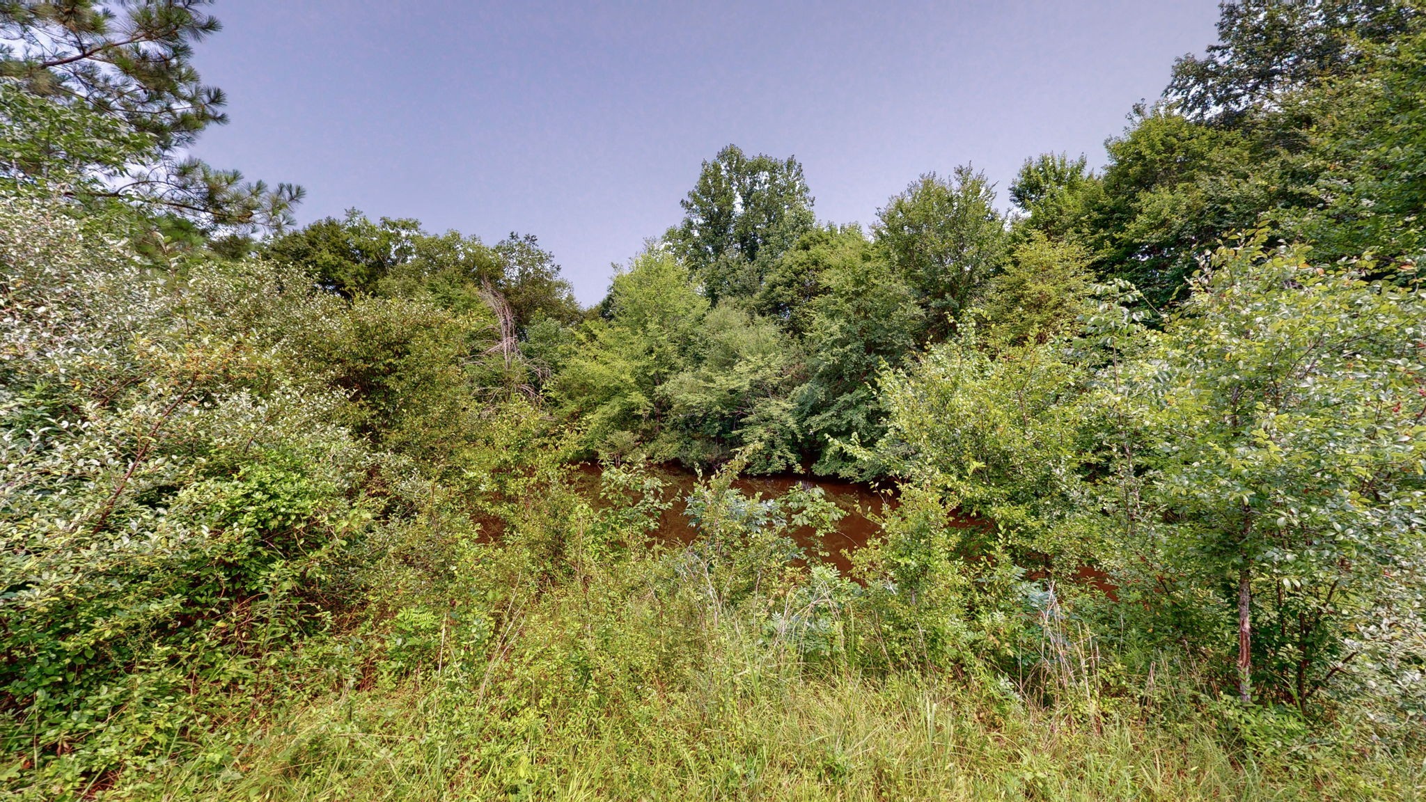 0 Sycamore Ln