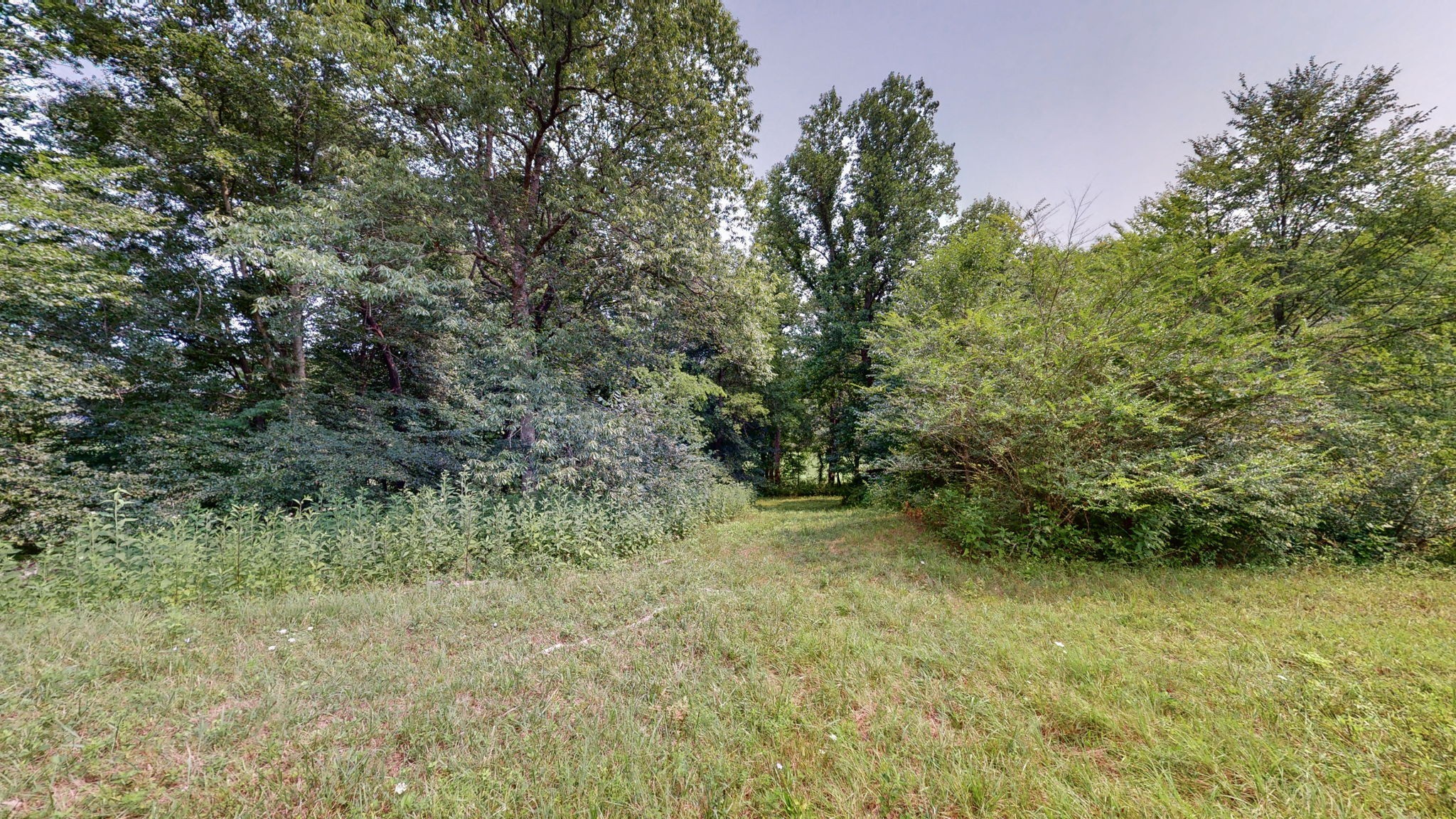 0 Sycamore Ln
