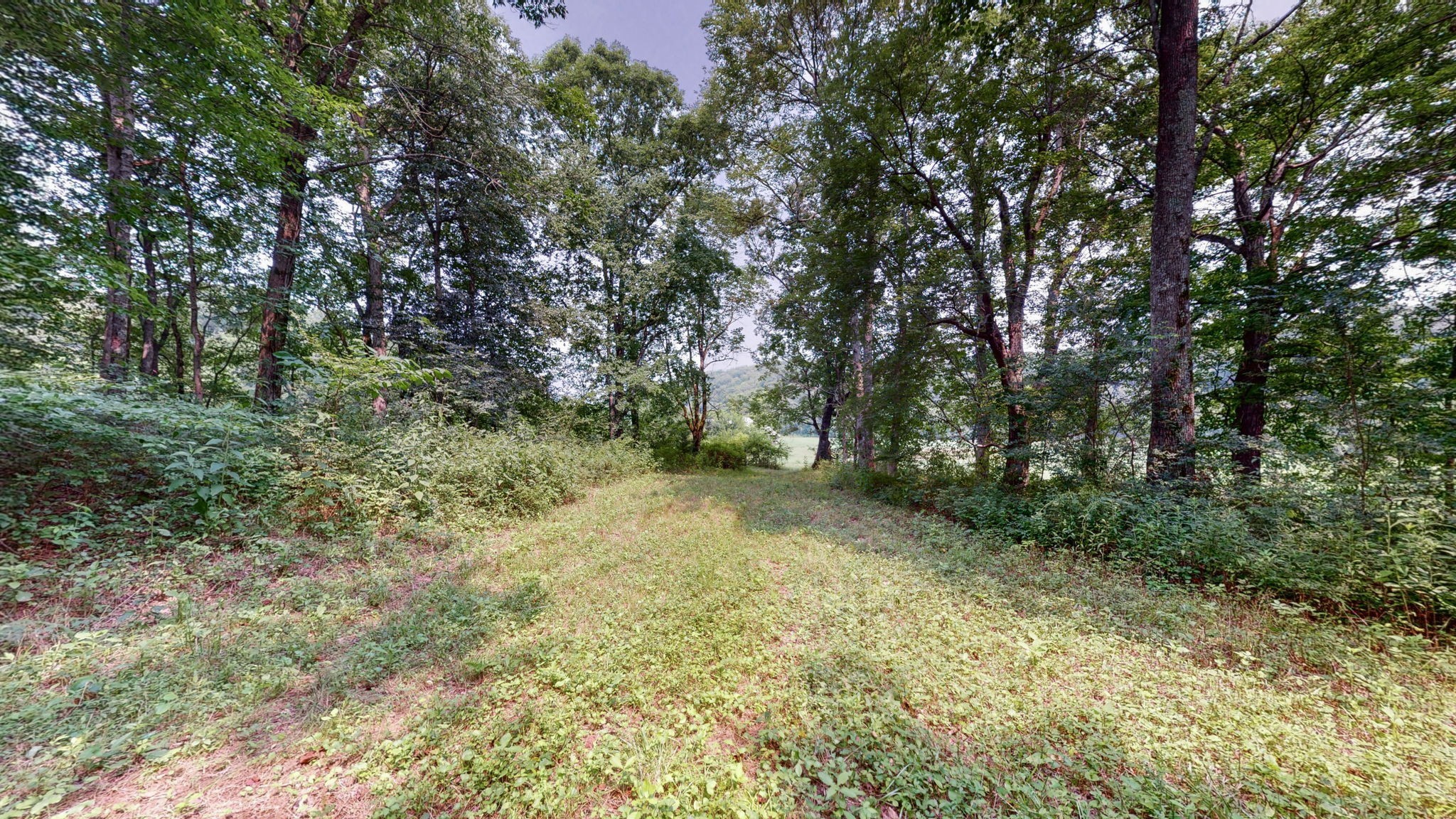 0 Sycamore Ln