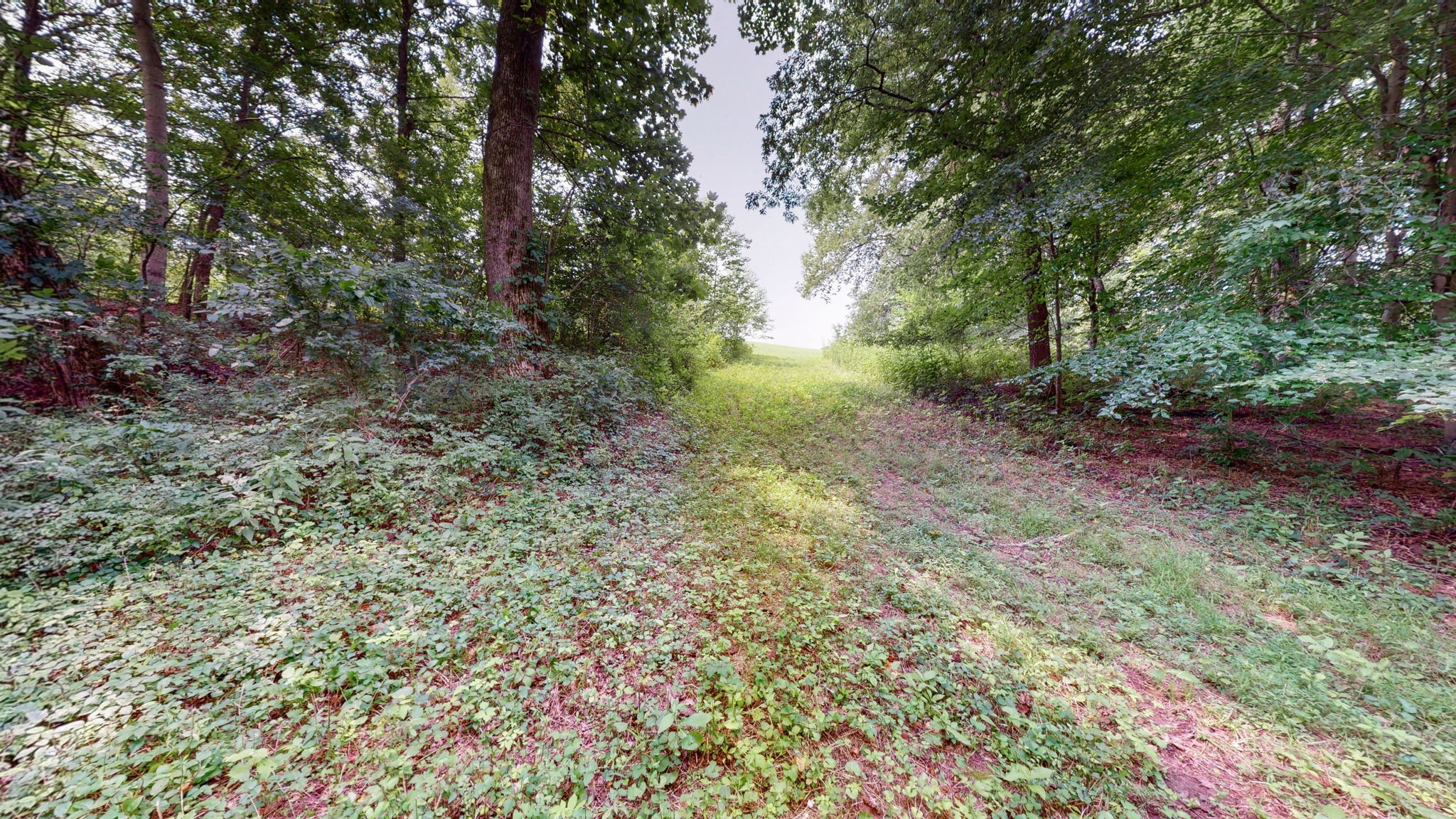 0 Sycamore Ln