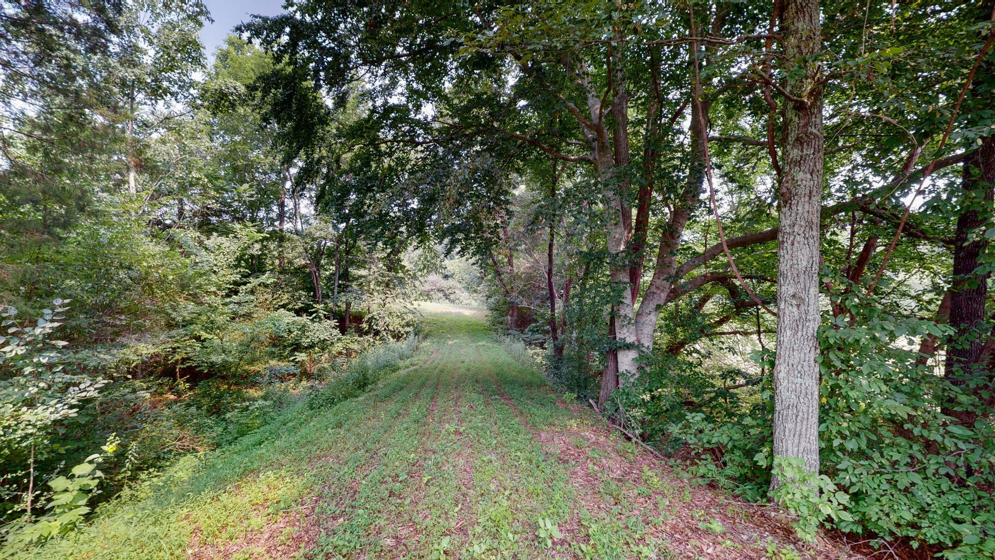 0 Sycamore Ln
