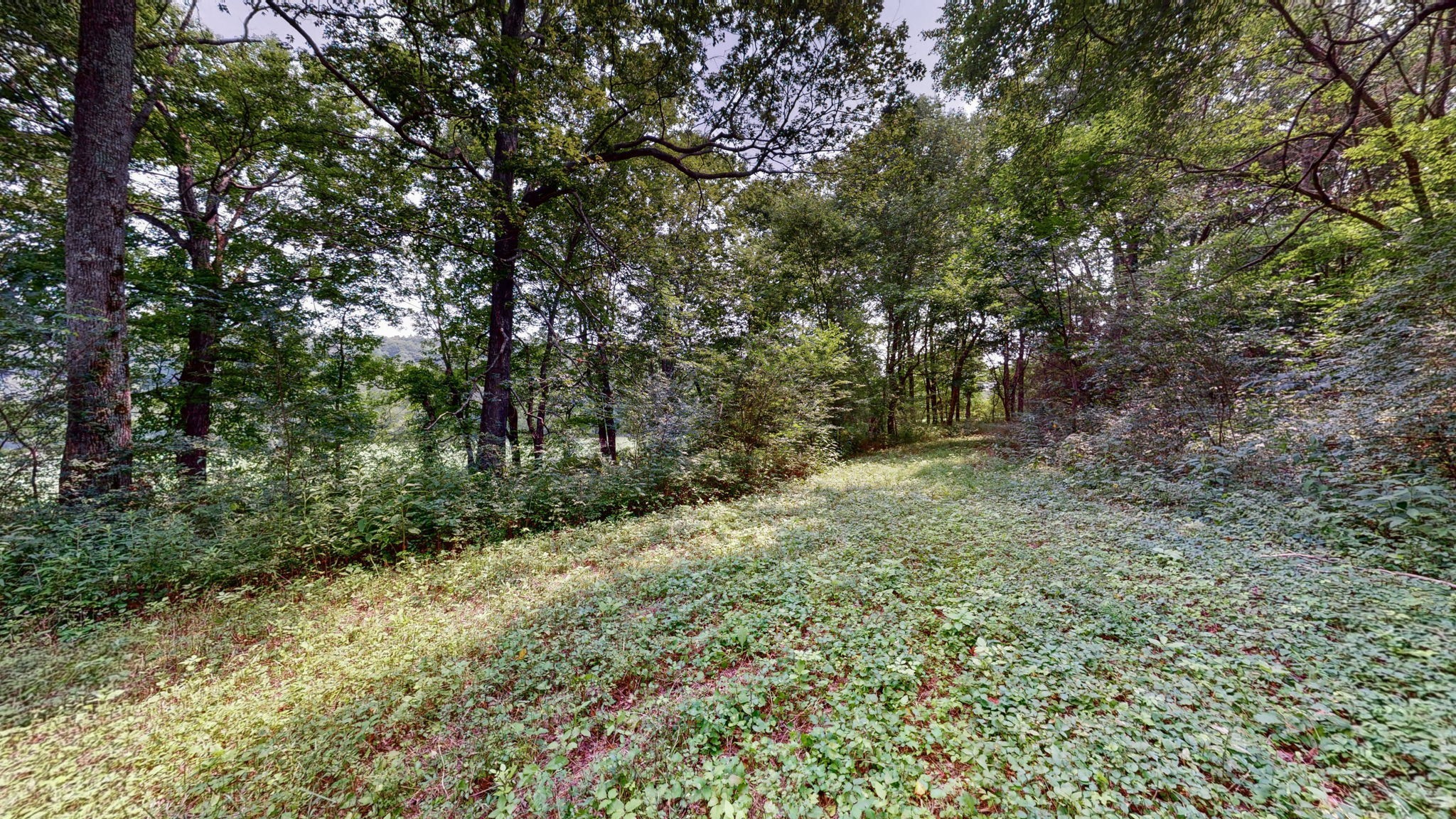 0 Sycamore Ln
