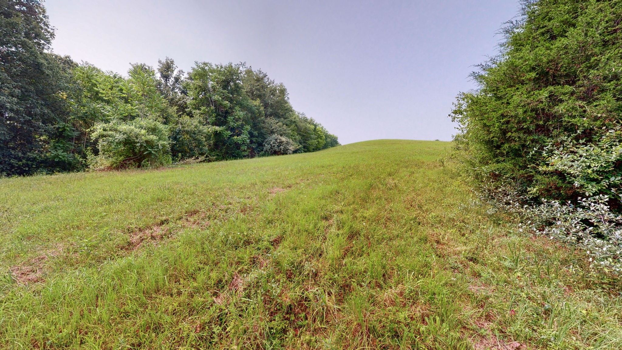0 Sycamore Ln
