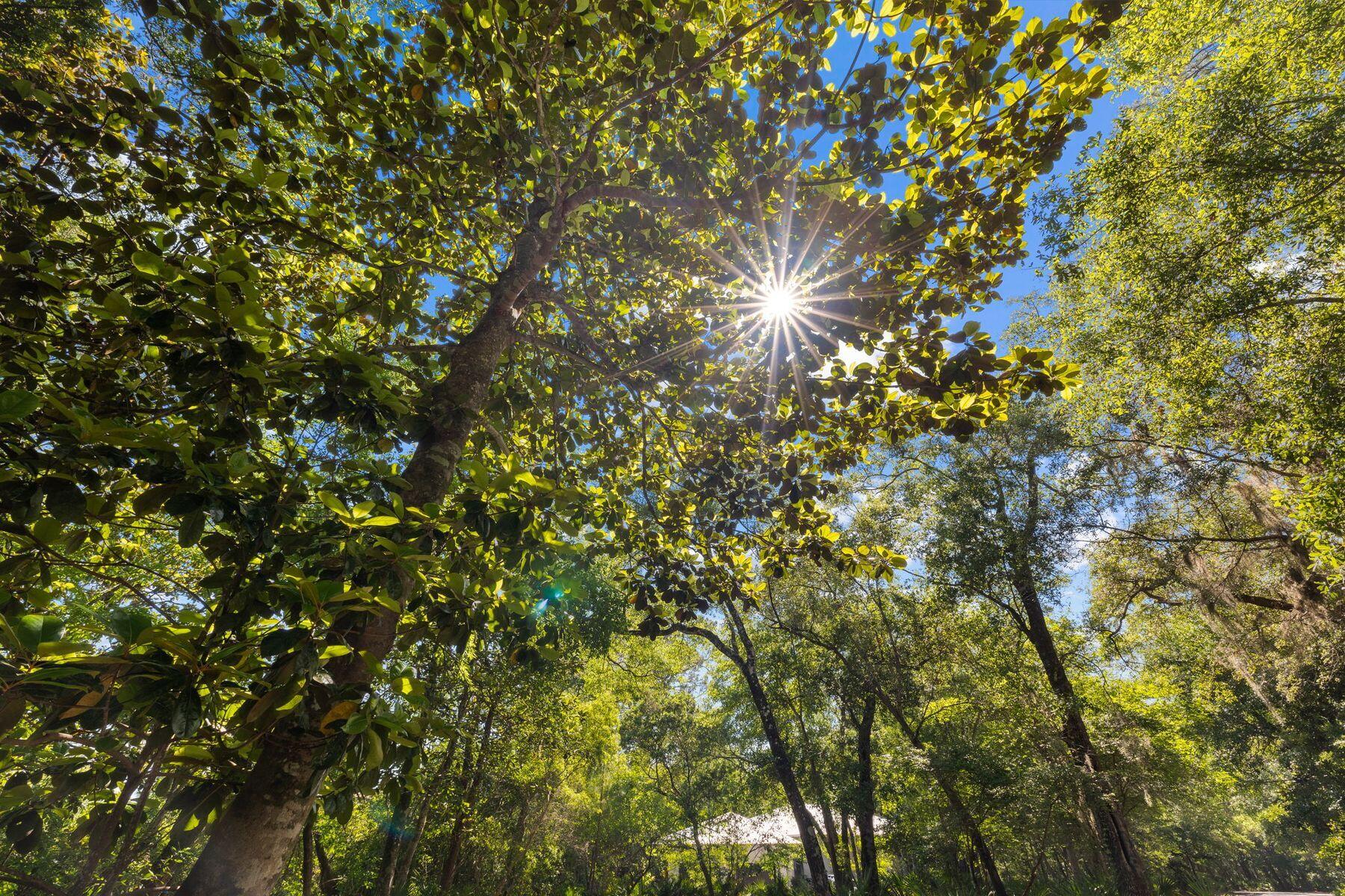 LOT 39 Ansley Forest Drive