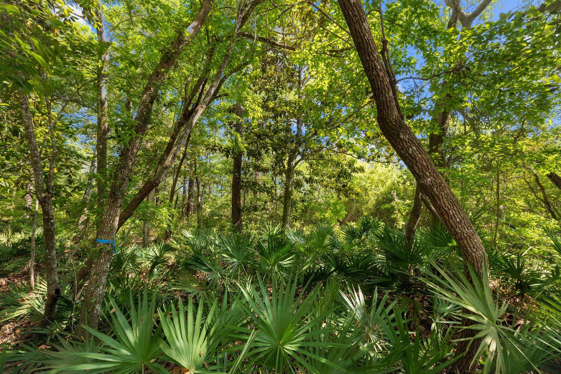 LOT 39 Ansley Forest Drive