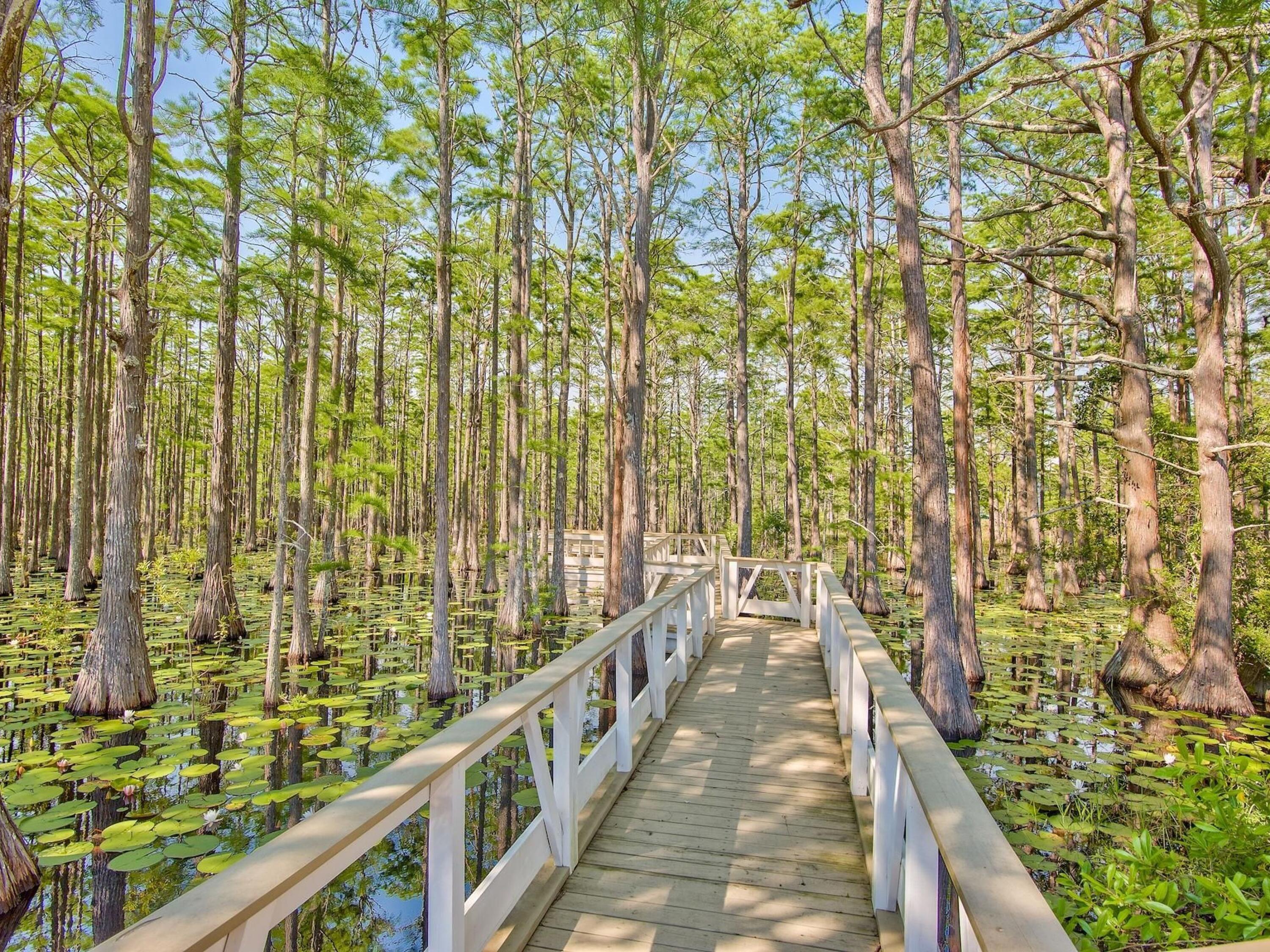 Lot 105 Cypress Walk