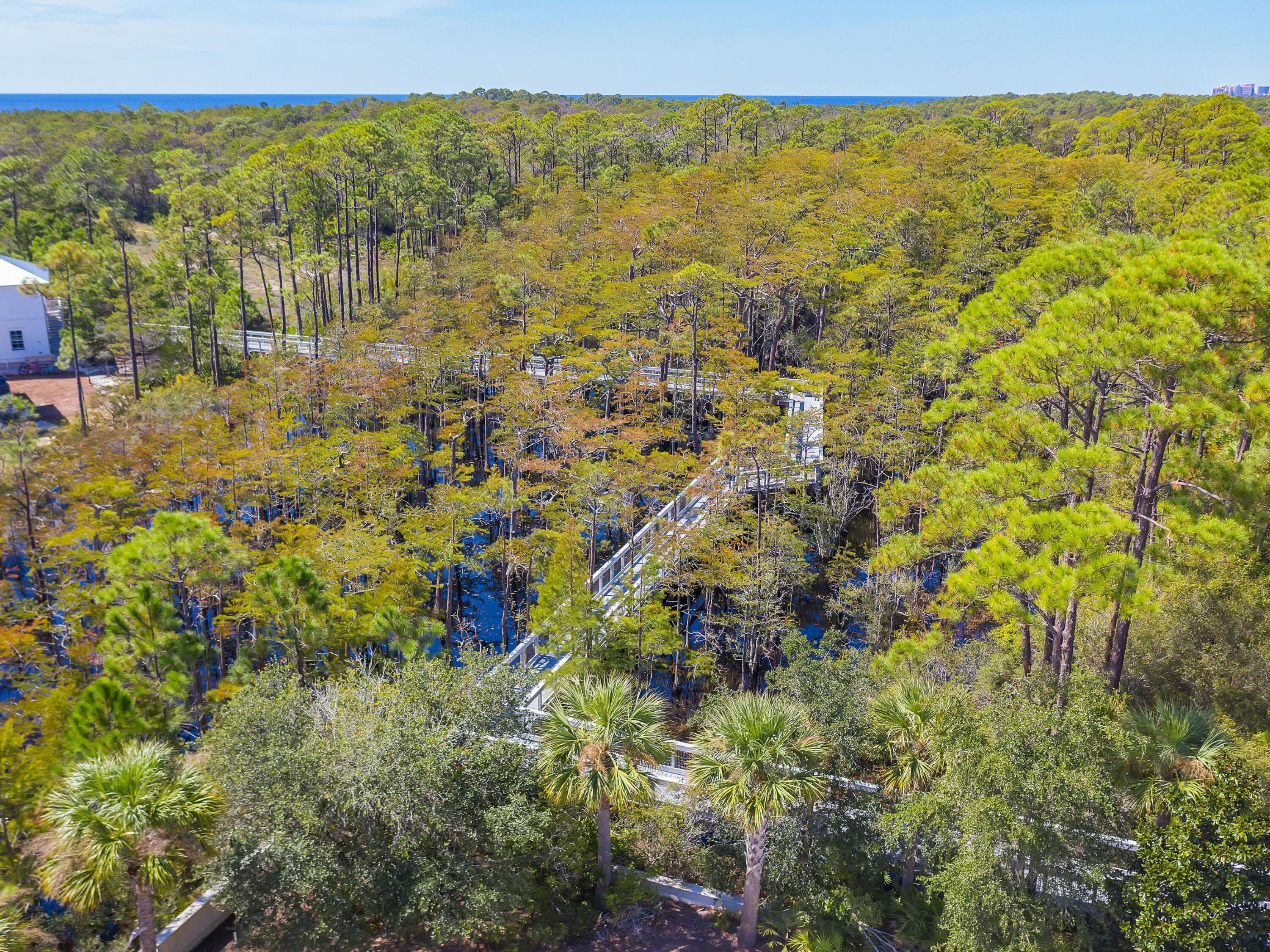 Lot 105 Cypress Walk