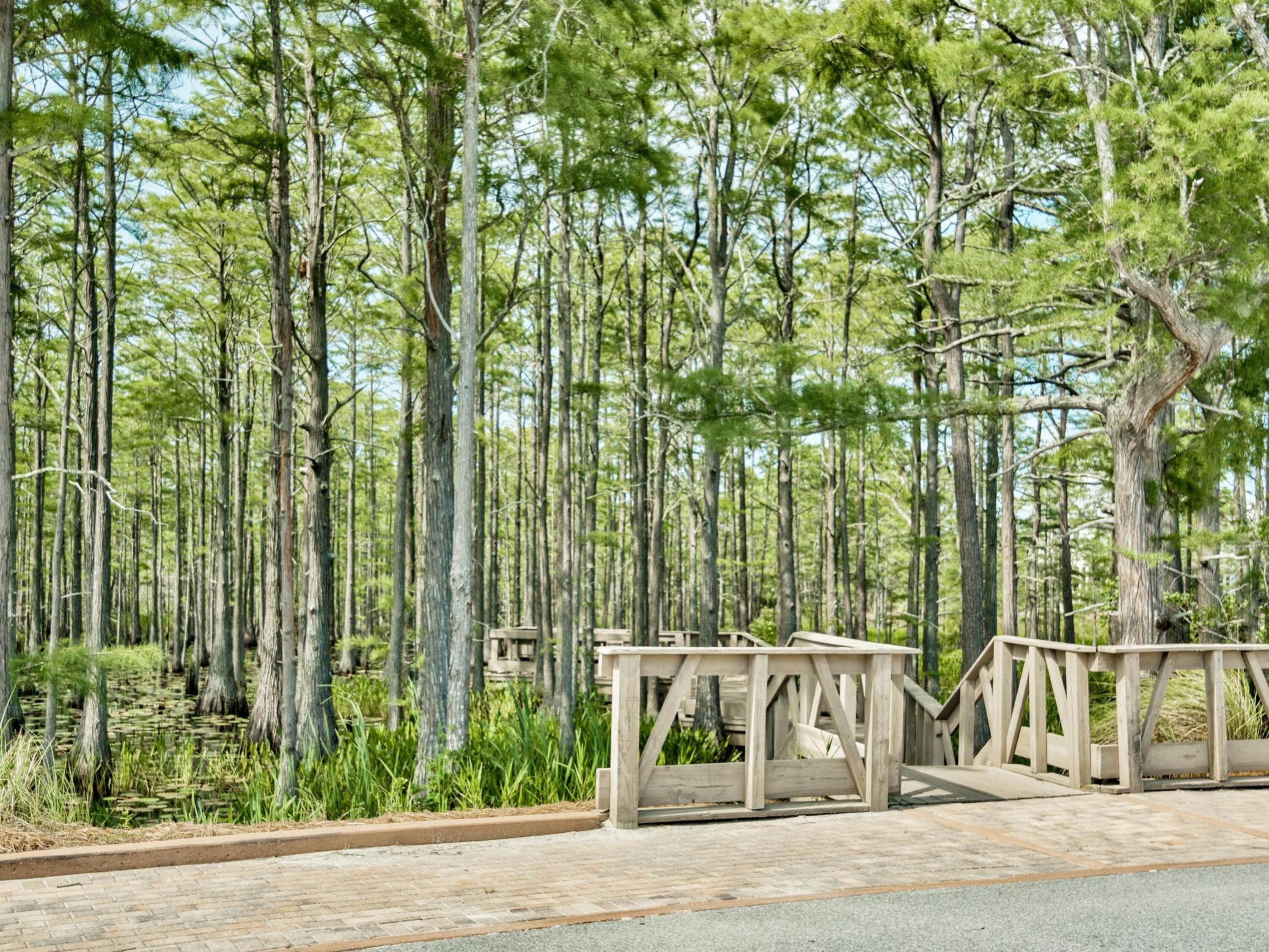 Lot 105 Cypress Walk