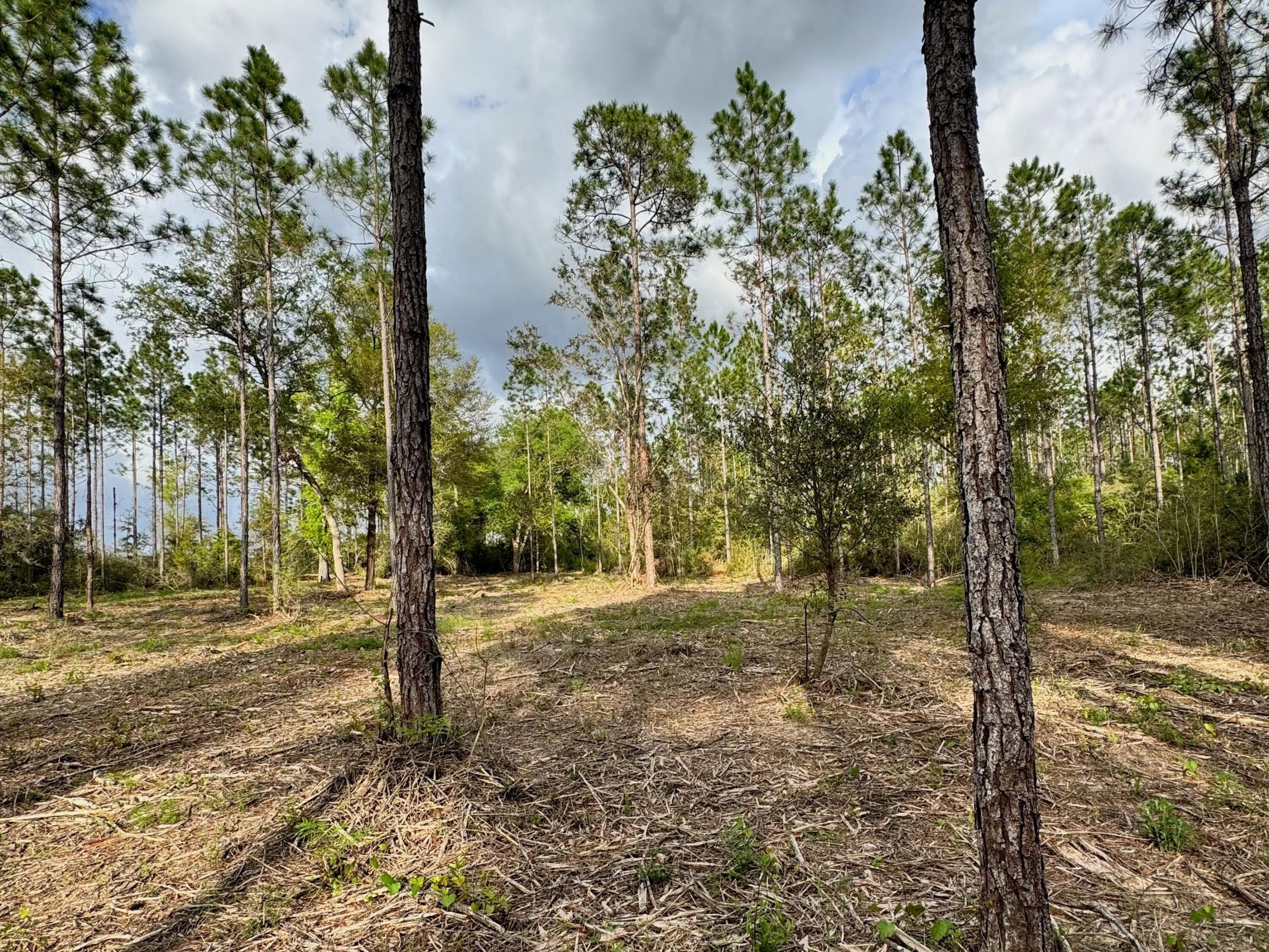 Lot 9 Pleasant Hill Road
