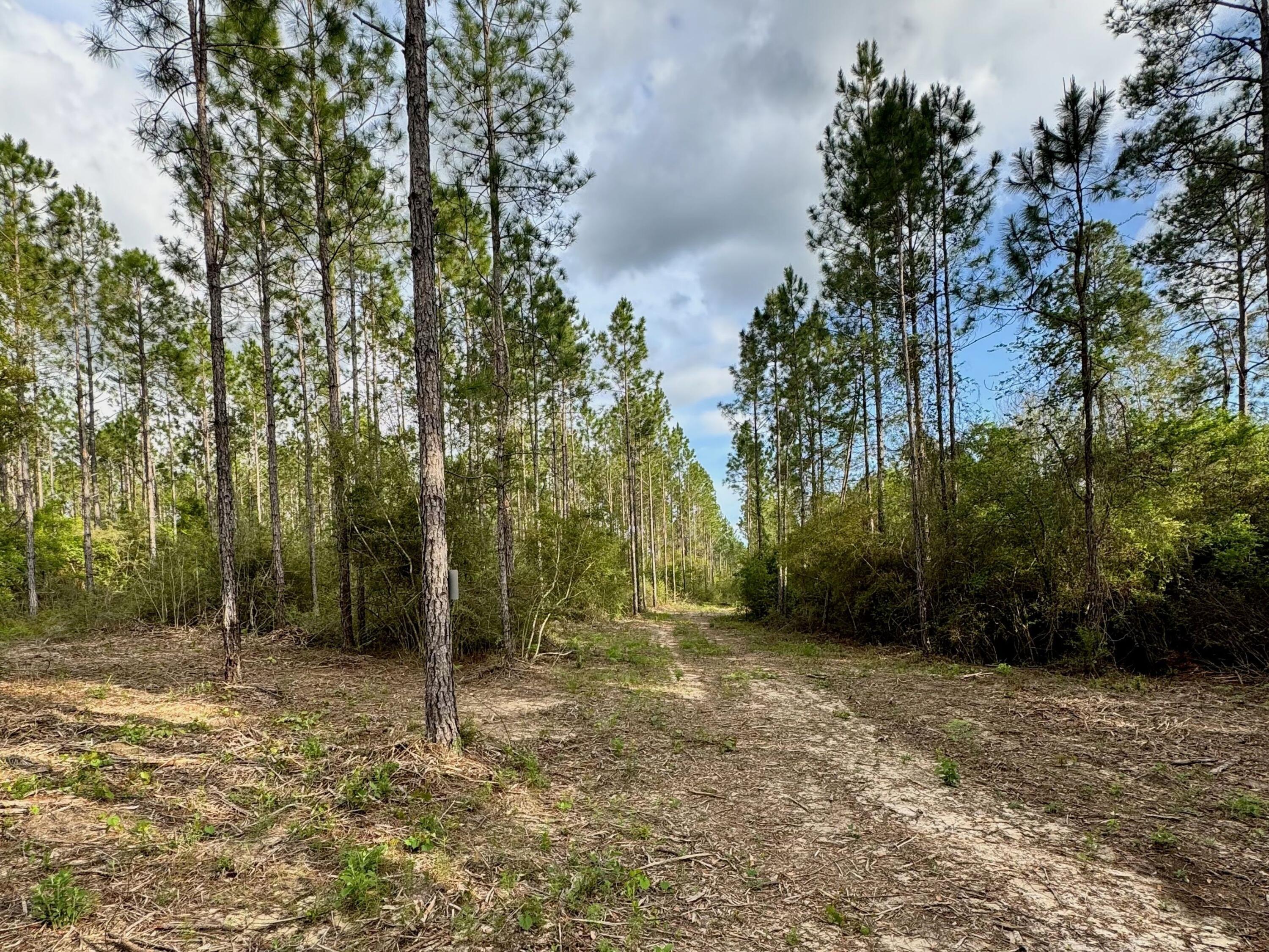 Lot 9 Pleasant Hill Road