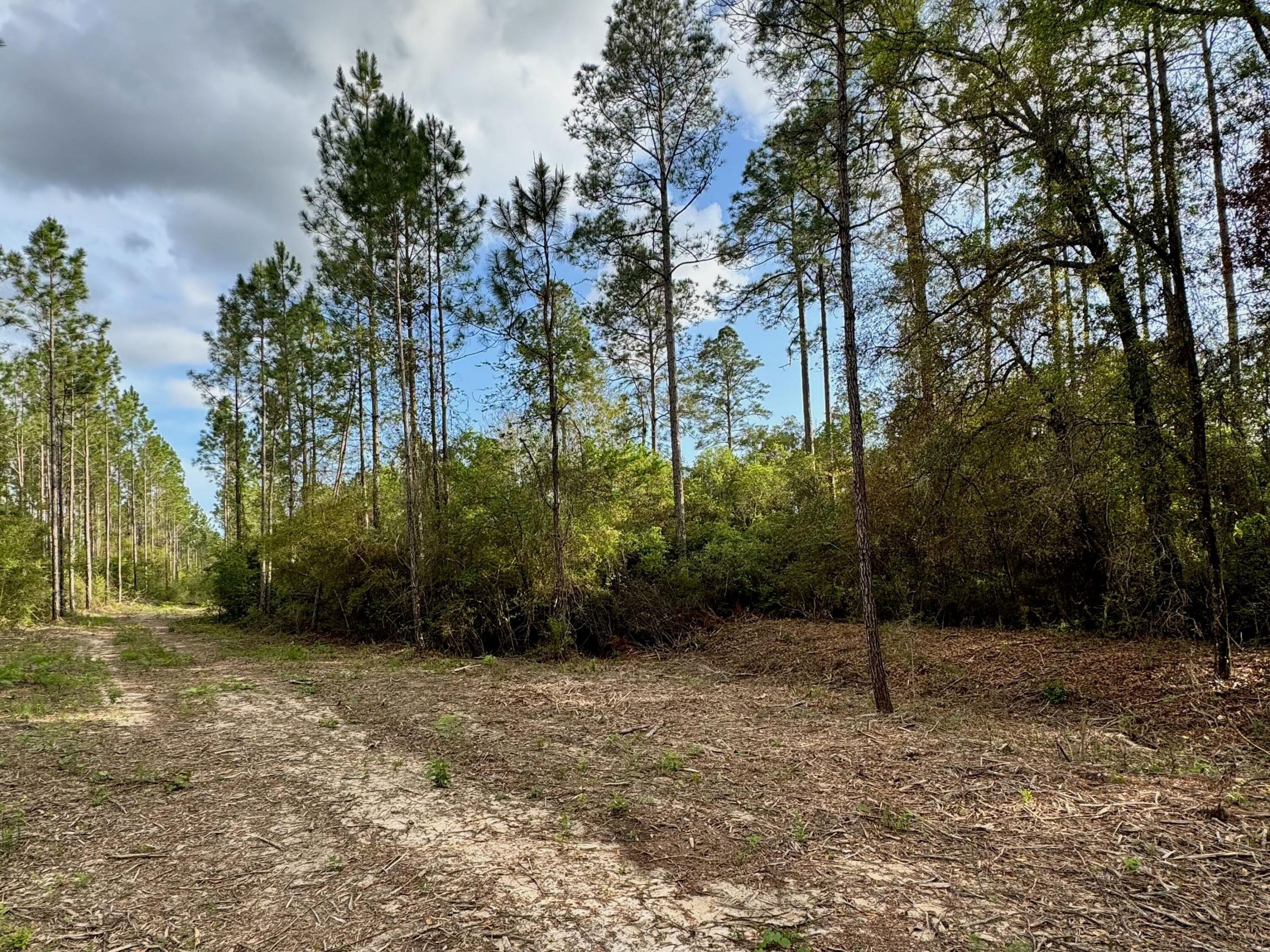 Lot 9 Pleasant Hill Road