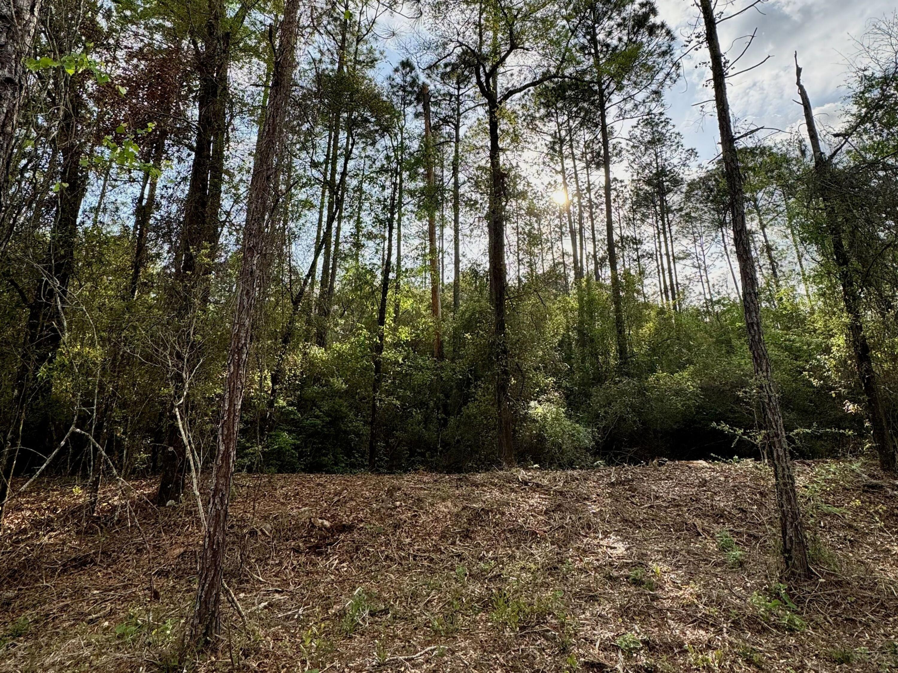 Lot 9 Pleasant Hill Road