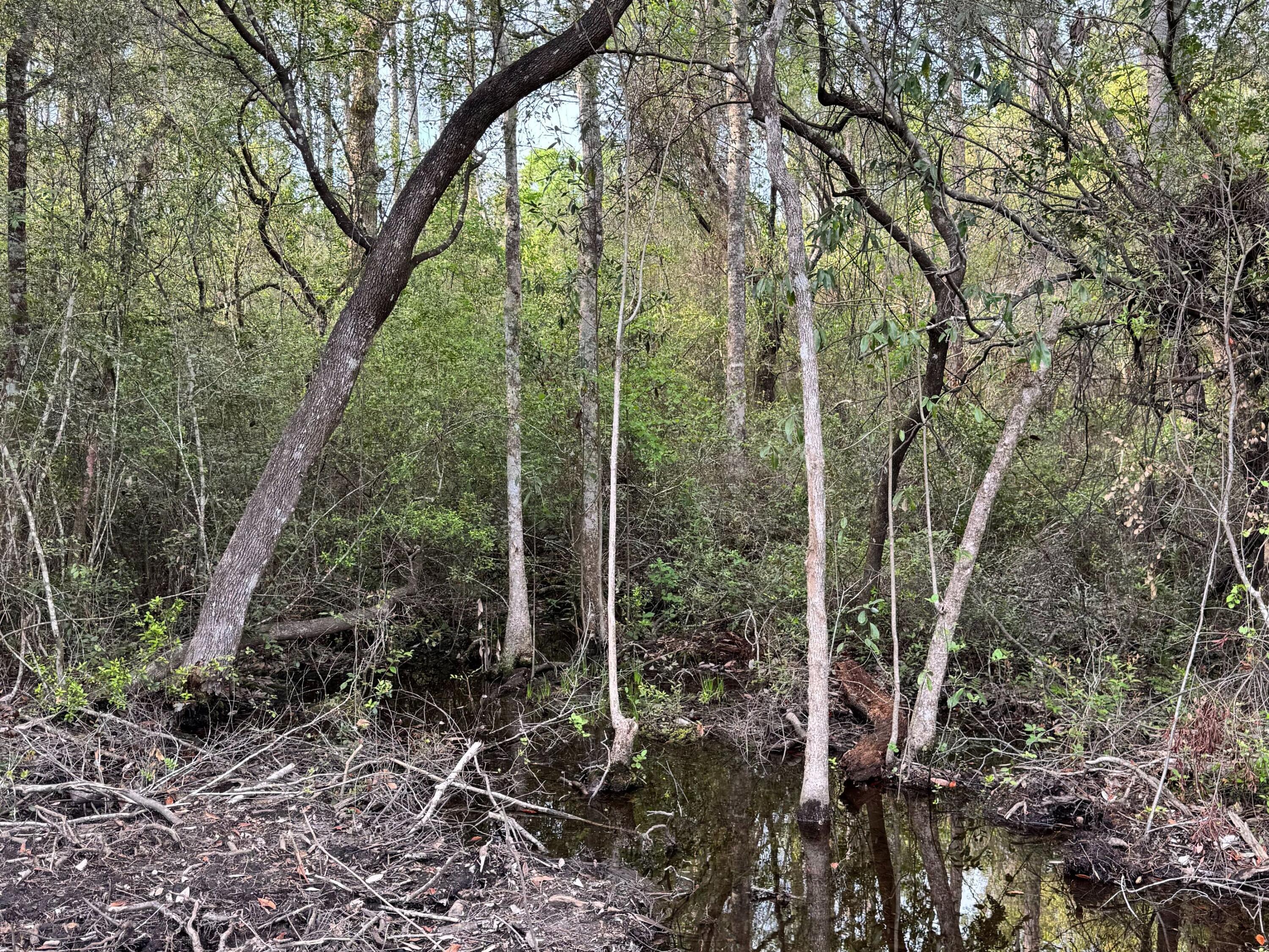 Lot 9 Pleasant Hill Road