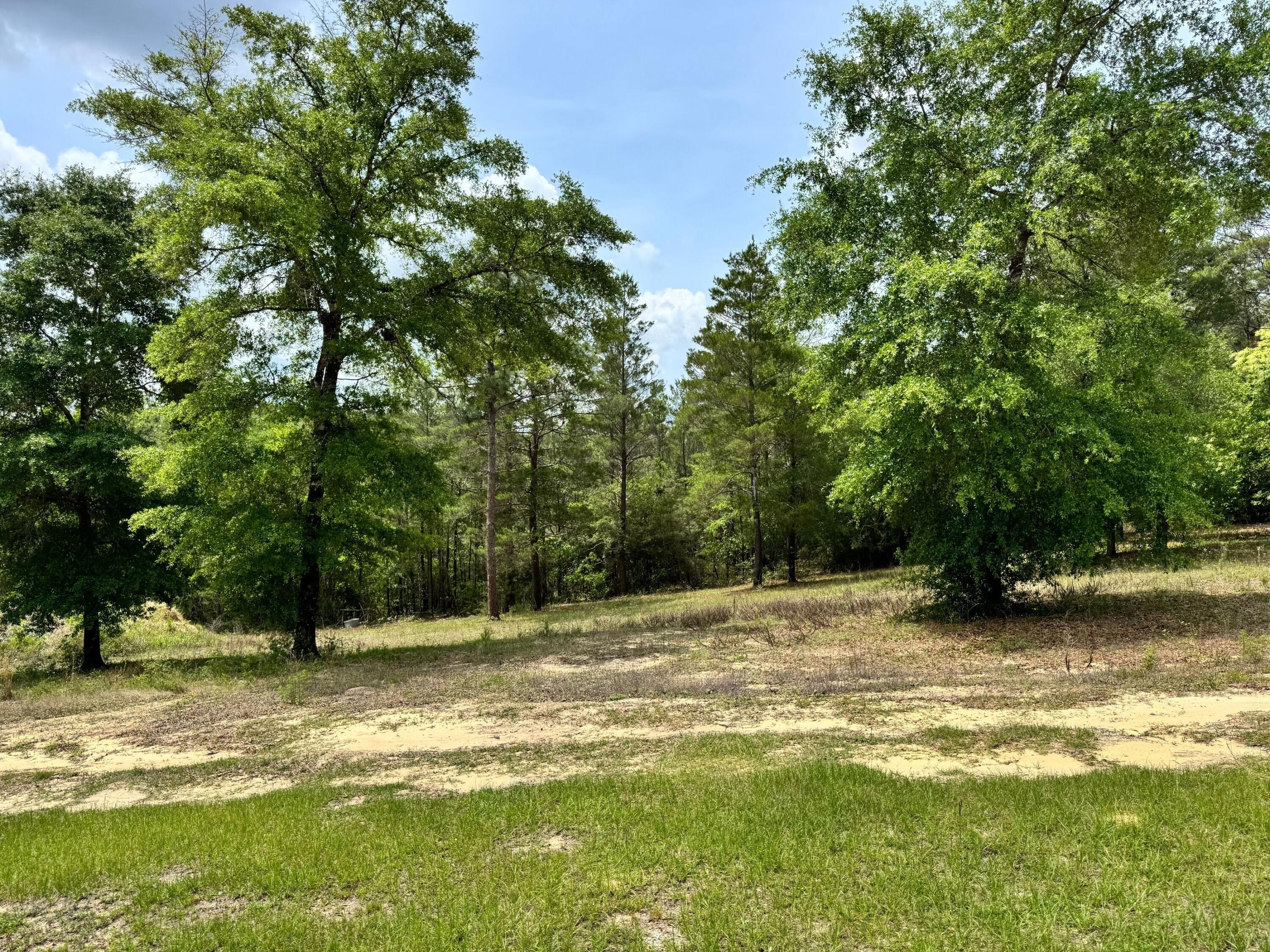 994 O'Sage Drive, DeFuniak Springs