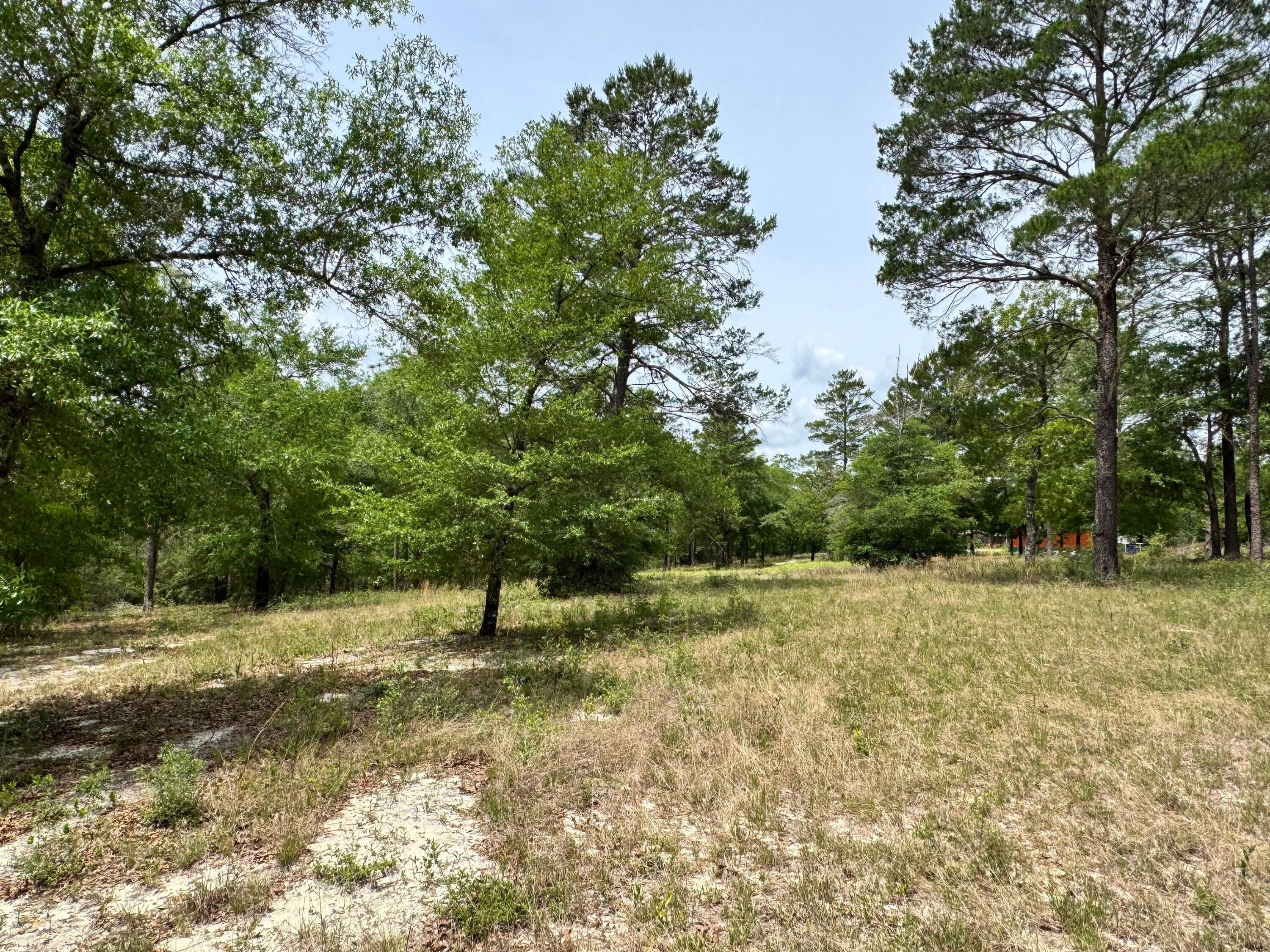 994 O'Sage Drive, DeFuniak Springs