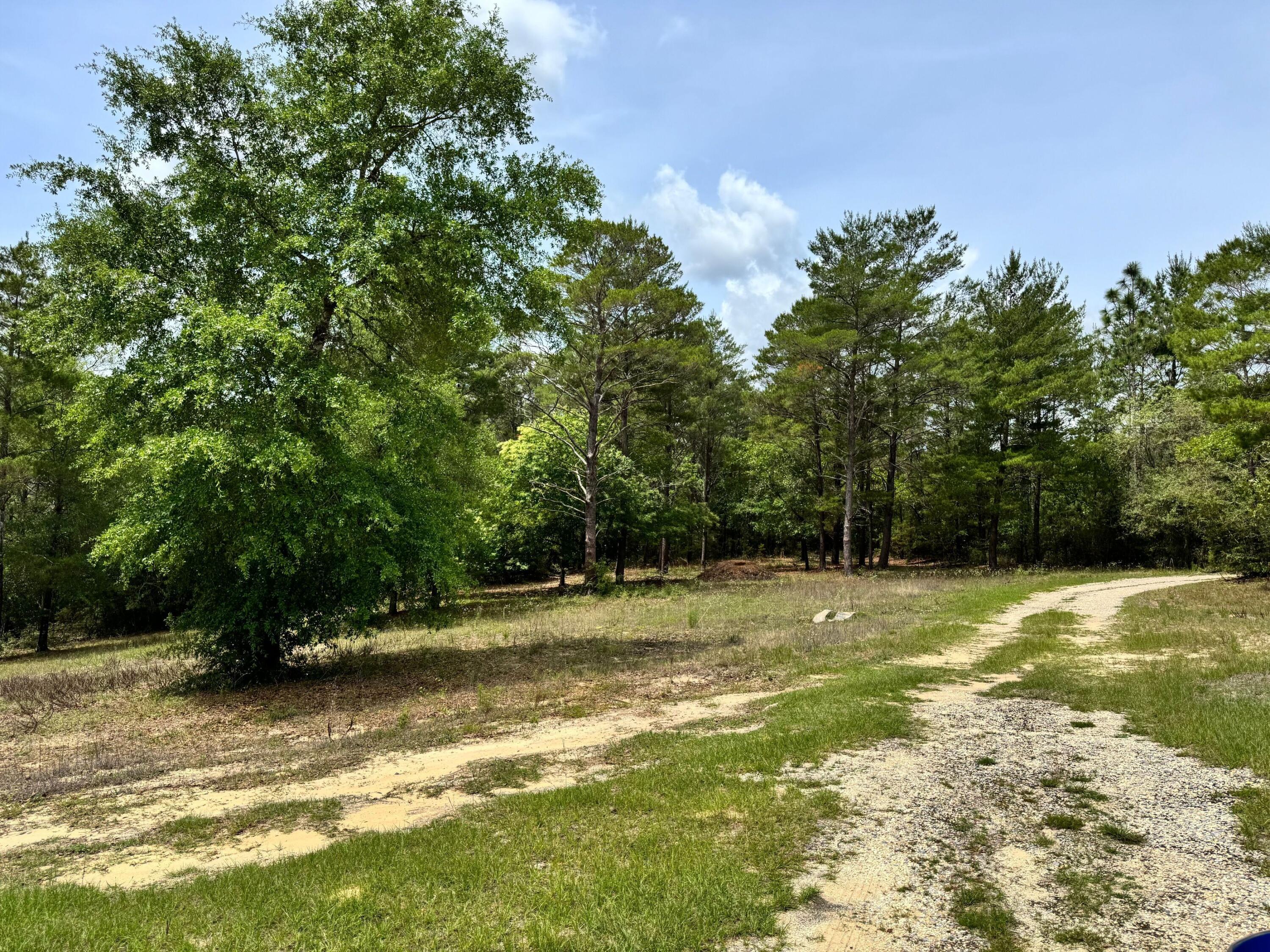994 O'Sage Drive, DeFuniak Springs