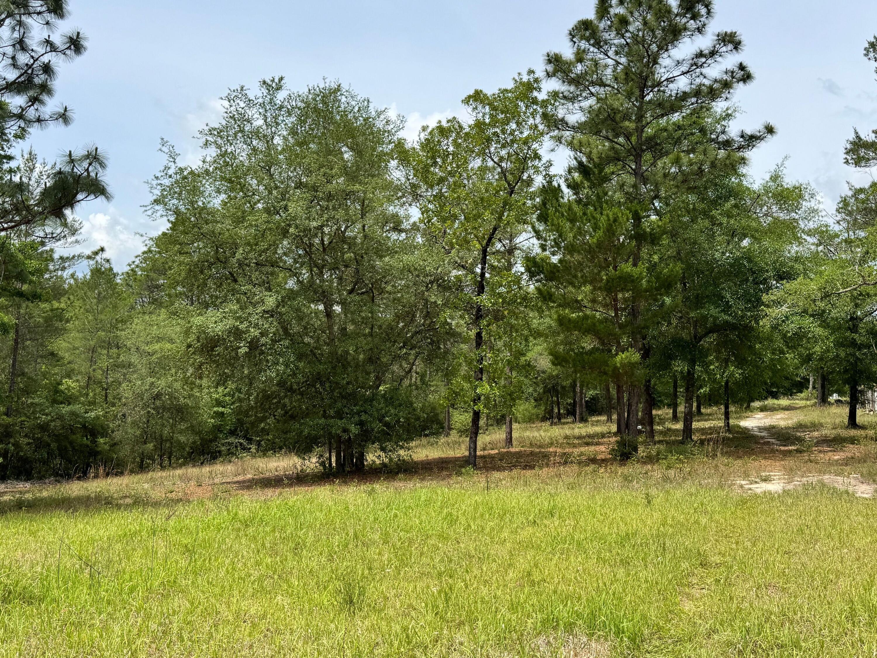 994 O'Sage Drive, DeFuniak Springs