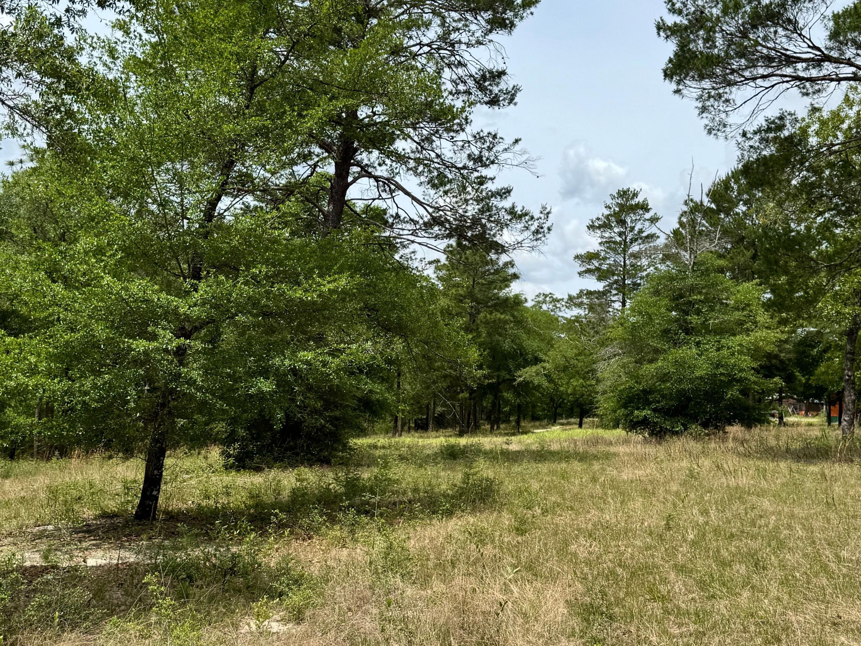 994 O'Sage Drive, DeFuniak Springs