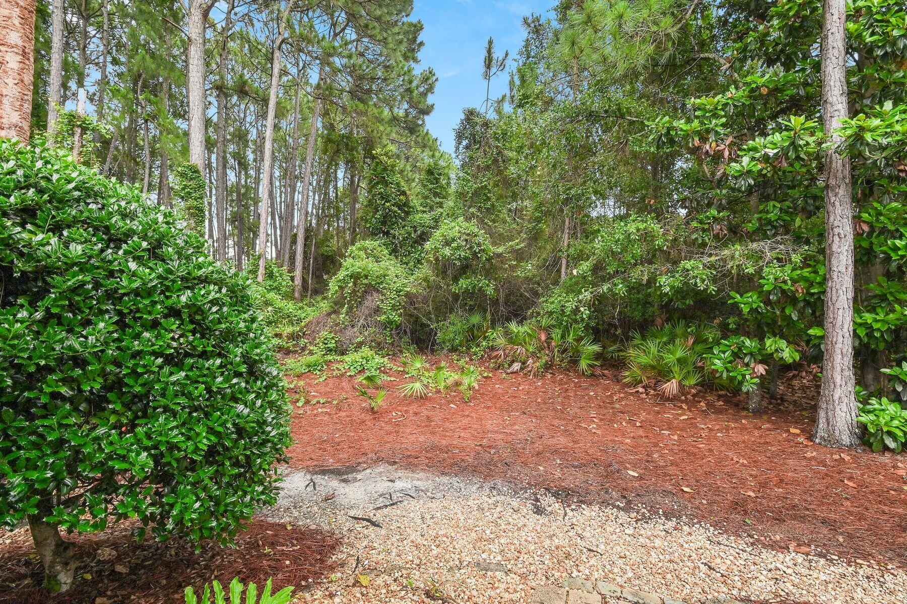 284 Bay Tree Drive